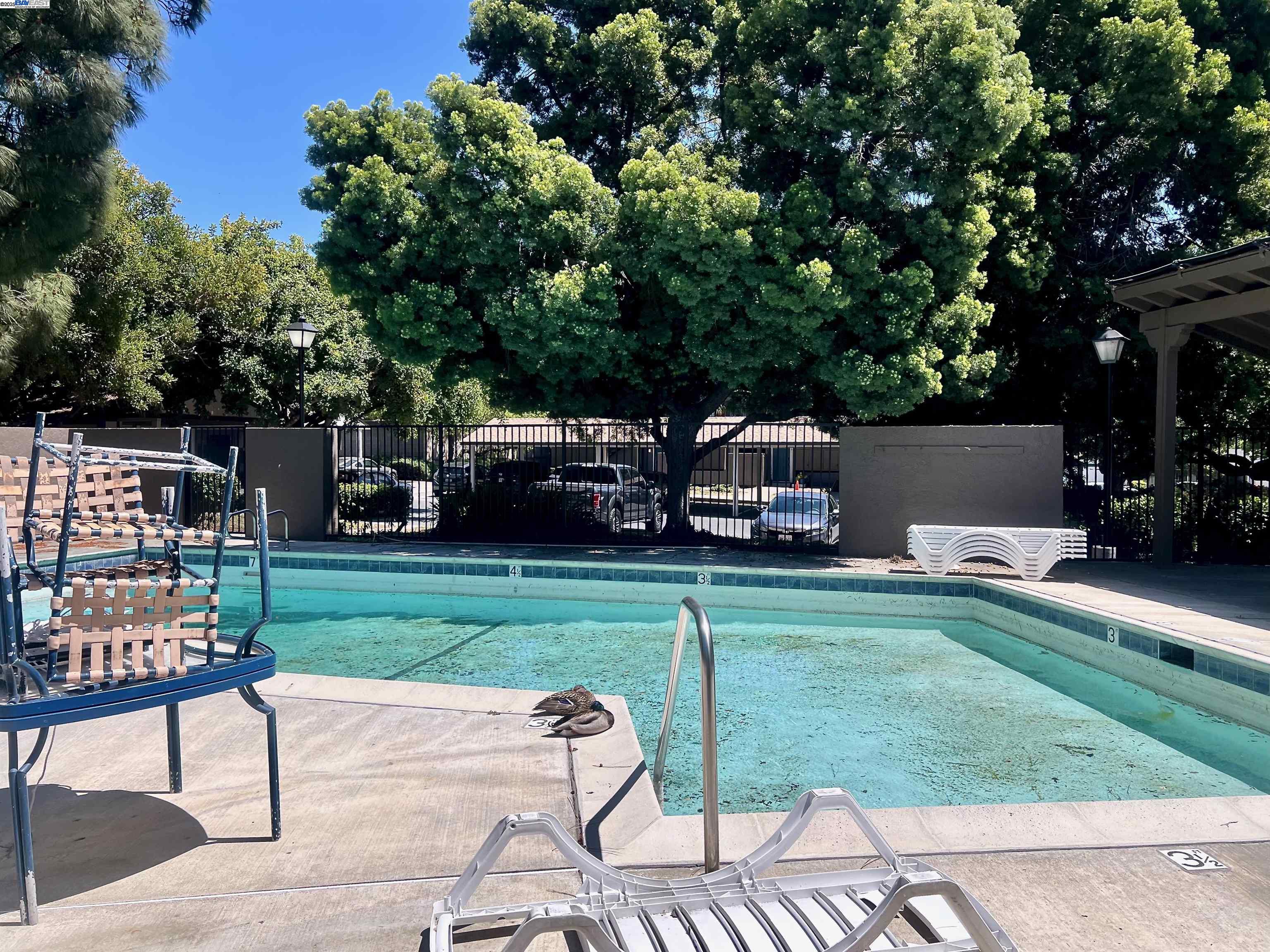 Detail Gallery Image 29 of 34 For 276 Galano Plz, Union City,  CA 94587 - 2 Beds | 2 Baths