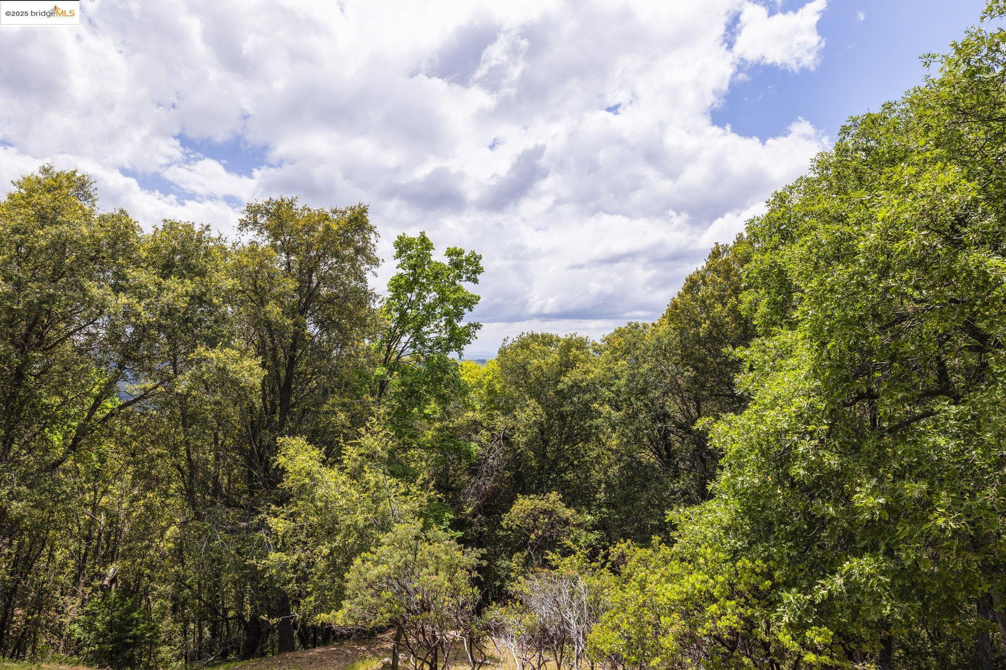 Detail Gallery Image 10 of 35 For 17215 Mt. Everest Court, Sonora,  CA 95370 - 3 Beds | 2 Baths