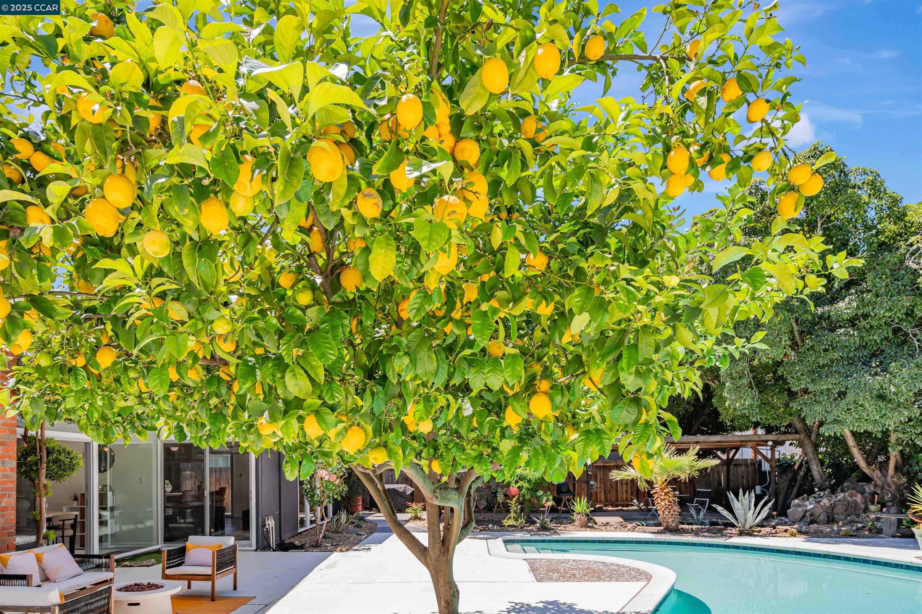Detail Gallery Image 49 of 52 For 1243 Lancashire Dr, Concord,  CA 94518 - 4 Beds | 2 Baths