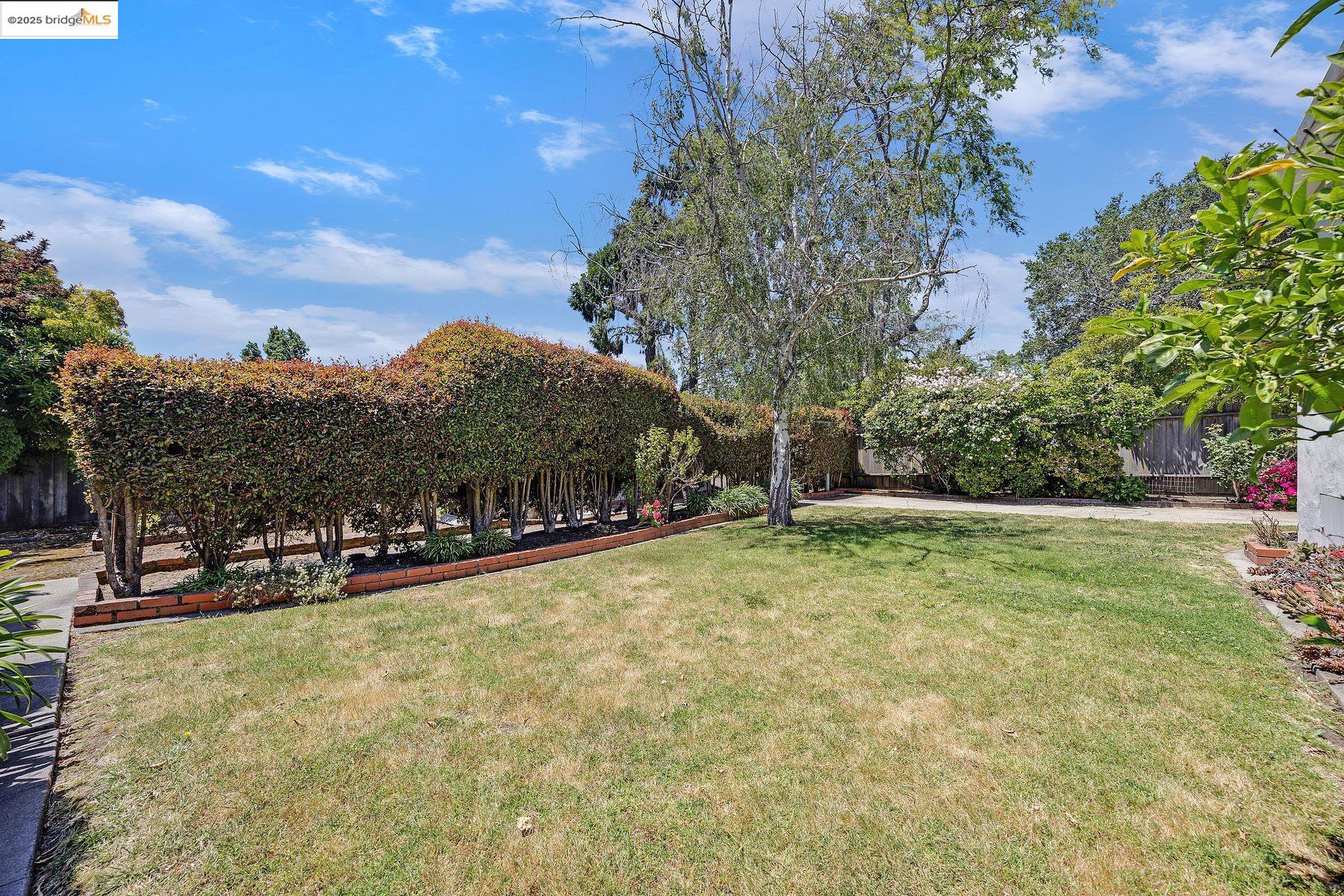 Detail Gallery Image 32 of 41 For 317 Victoria Street, El Cerrito,  CA 94530 - 4 Beds | 2 Baths