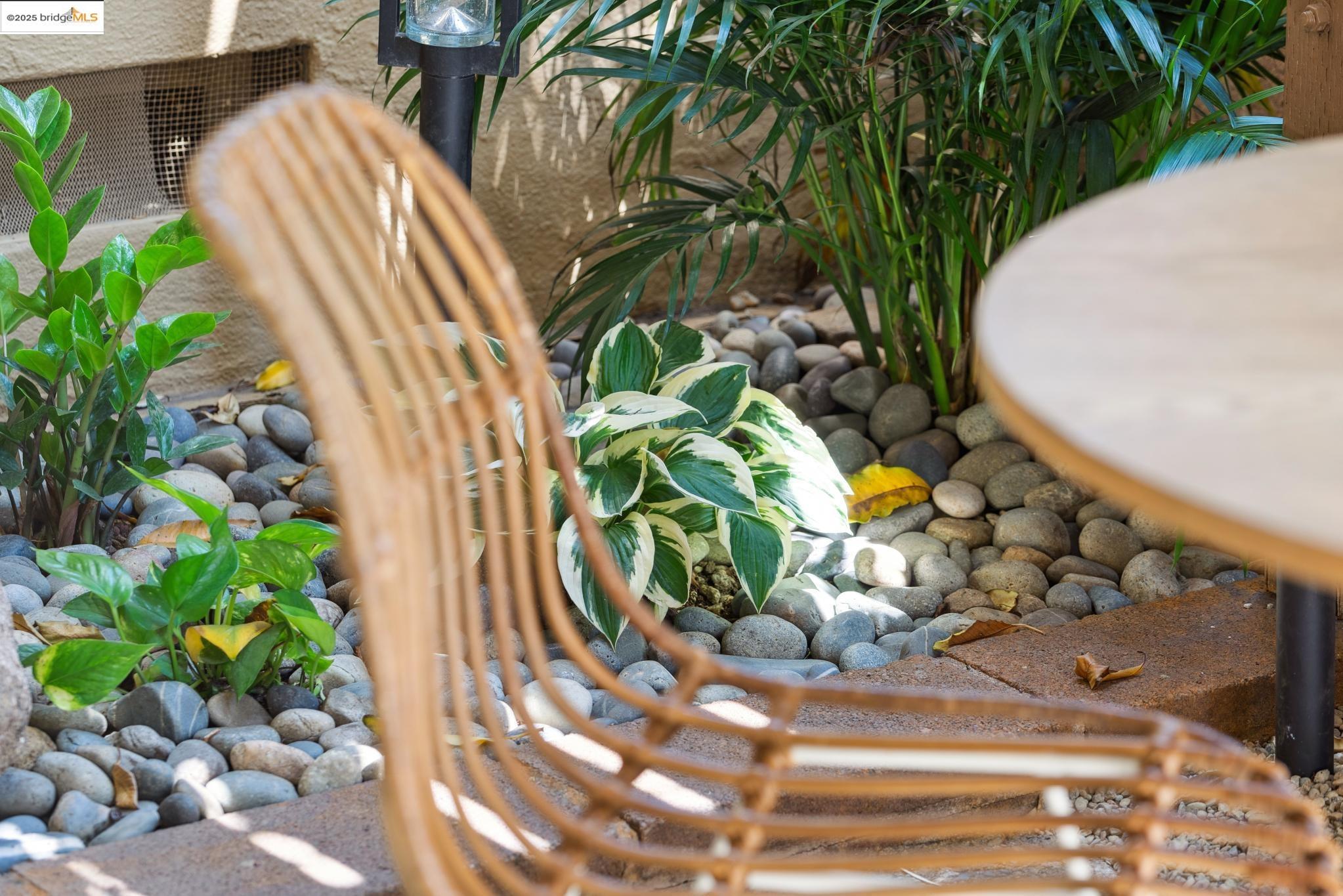 Detail Gallery Image 6 of 20 For 1337 Henry Street a,  Berkeley,  CA 94709-1900 - 2 Beds | 1 Baths