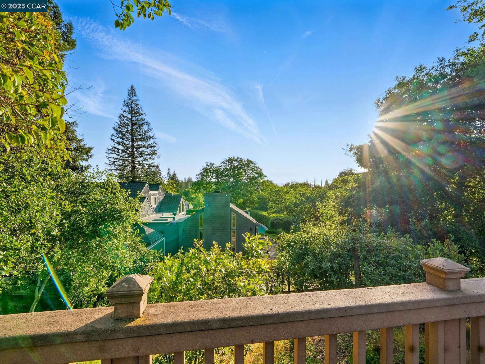 Detail Gallery Image 39 of 59 For 1804 Piedras Circle, Alamo,  CA 94507 - 4 Beds | 2/1 Baths