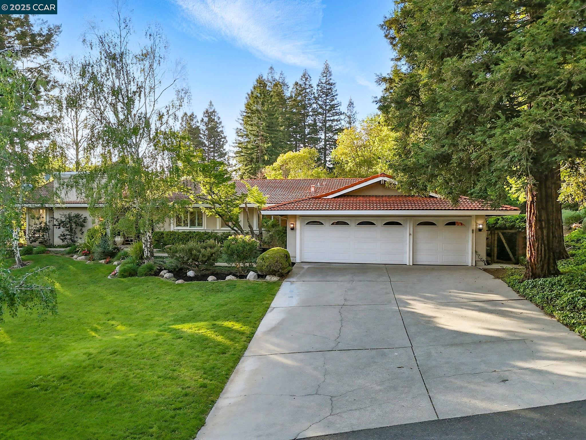 Detail Gallery Image 5 of 59 For 1804 Piedras Circle, Alamo,  CA 94507 - 4 Beds | 2/1 Baths