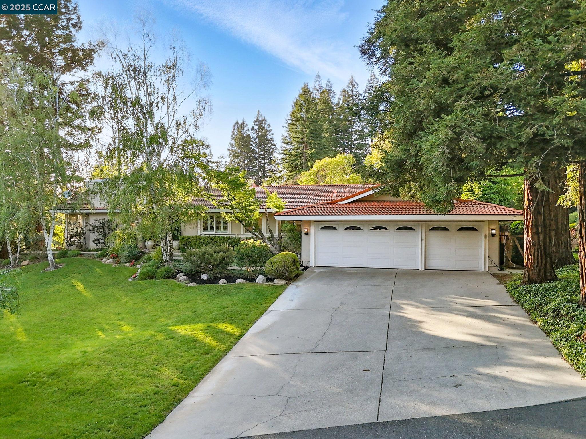 Detail Gallery Image 7 of 59 For 1804 Piedras Circle, Alamo,  CA 94507 - 4 Beds | 2/1 Baths