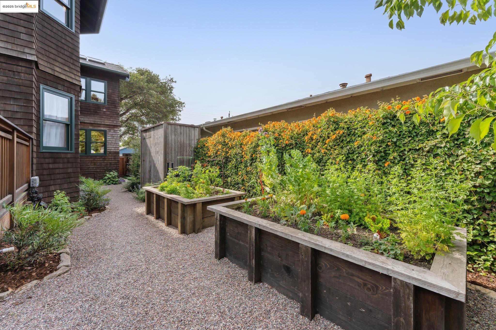 Detail Gallery Image 28 of 58 For 817 Curtis St, Albany,  CA 94706 - 4 Beds | 2/1 Baths