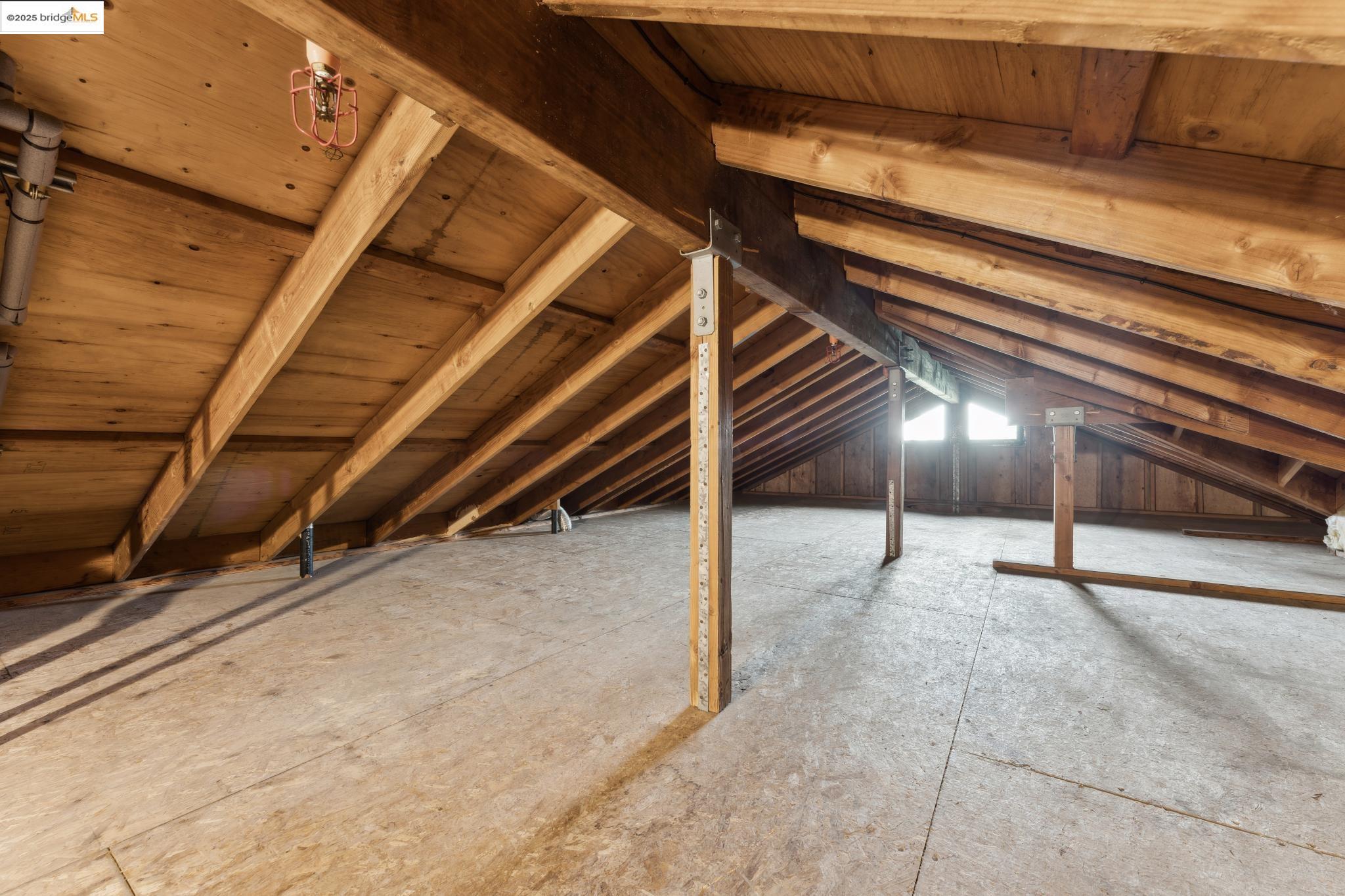 Detail Gallery Image 45 of 58 For 817 Curtis St, Albany,  CA 94706 - 4 Beds | 2/1 Baths