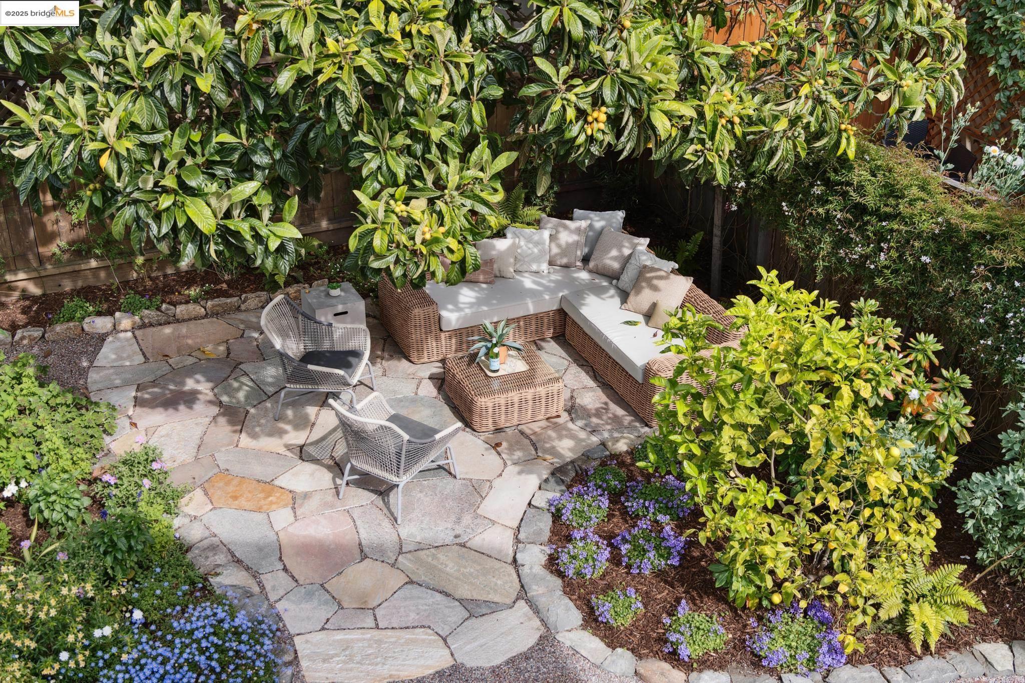 Detail Gallery Image 51 of 58 For 817 Curtis St, Albany,  CA 94706 - 4 Beds | 2/1 Baths
