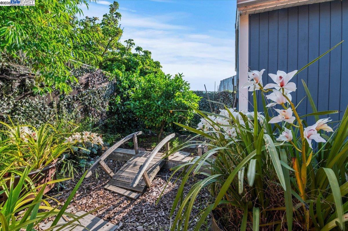 Detail Gallery Image 35 of 57 For 2168 167th Ave, San Leandro,  CA 94578 - 3 Beds | 2 Baths
