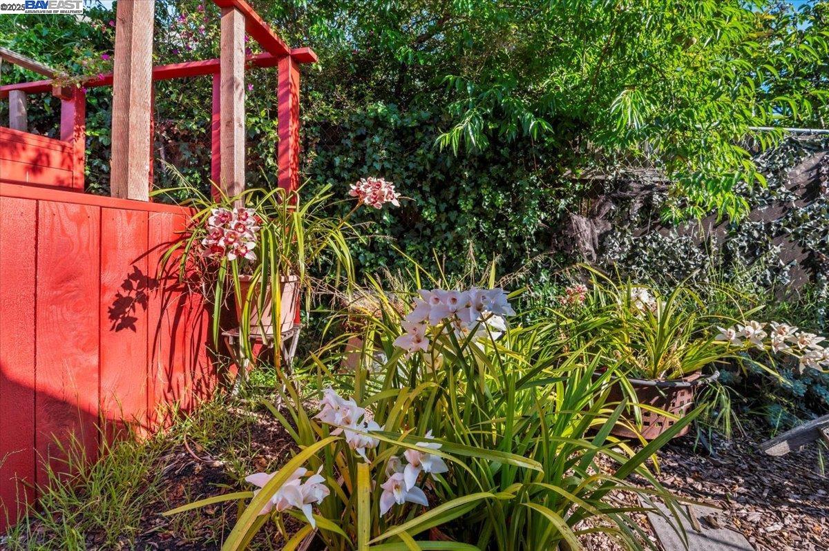 Detail Gallery Image 36 of 57 For 2168 167th Ave, San Leandro,  CA 94578 - 3 Beds | 2 Baths