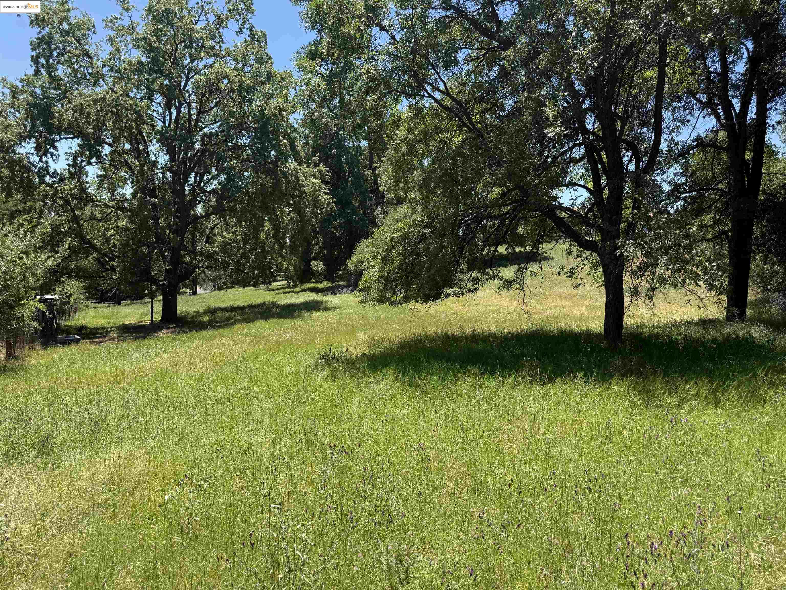 Detail Gallery Image 1 of 7 For 0000 Meadow Lane, Sonora,  CA 95370 - – Beds | – Baths