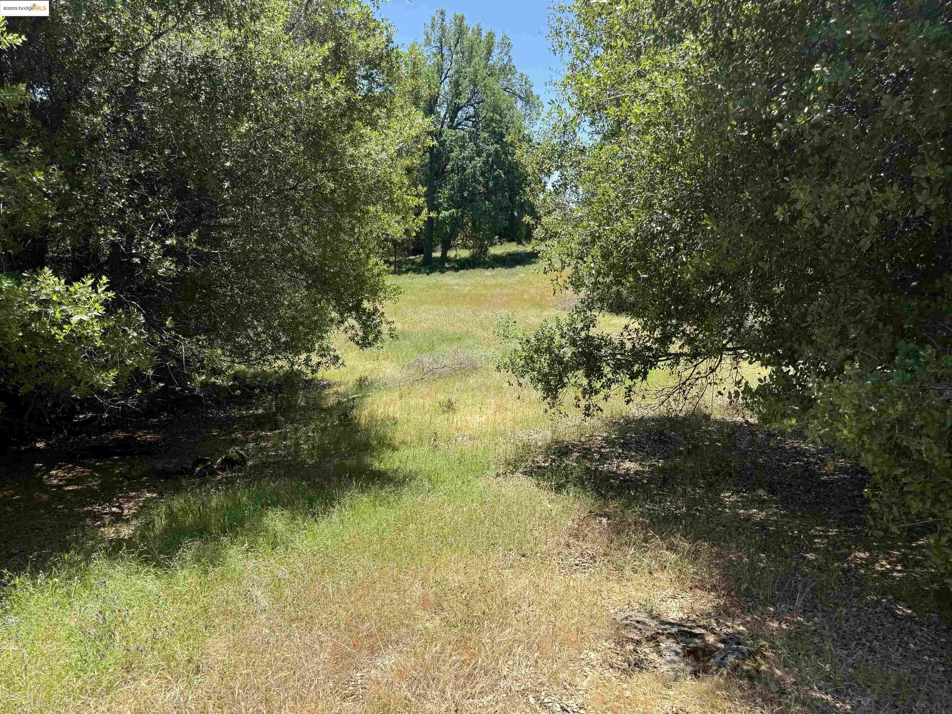 Detail Gallery Image 2 of 7 For 0000 Meadow Lane, Sonora,  CA 95370 - – Beds | – Baths