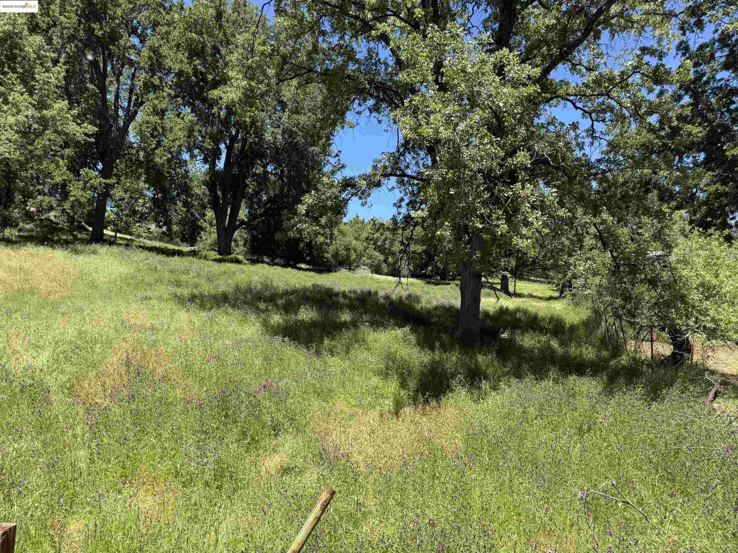 Detail Gallery Image 3 of 7 For 0000 Meadow Lane, Sonora,  CA 95370 - – Beds | – Baths