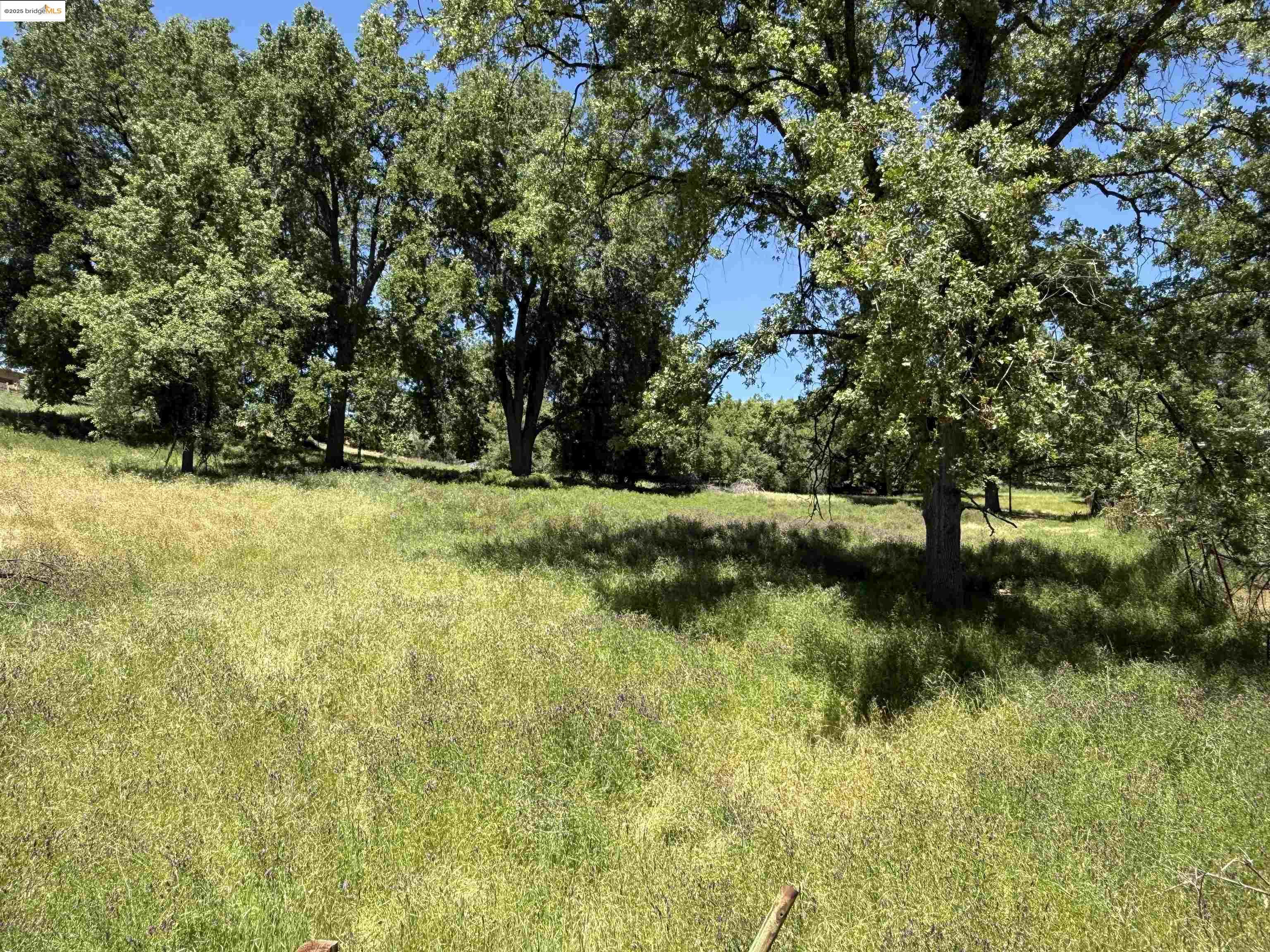 Detail Gallery Image 5 of 7 For 0000 Meadow Lane, Sonora,  CA 95370 - – Beds | – Baths