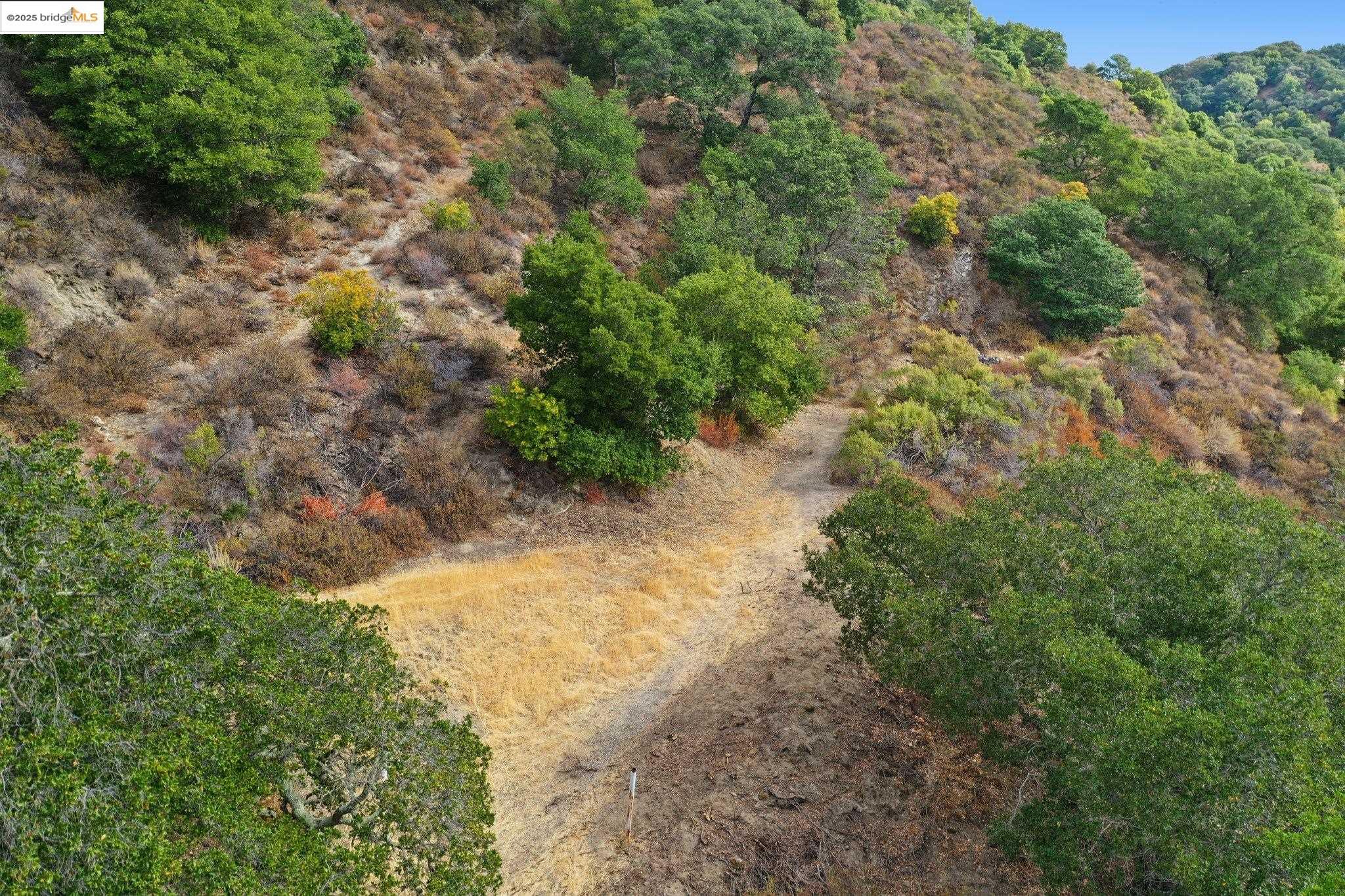 Bradbury Dr