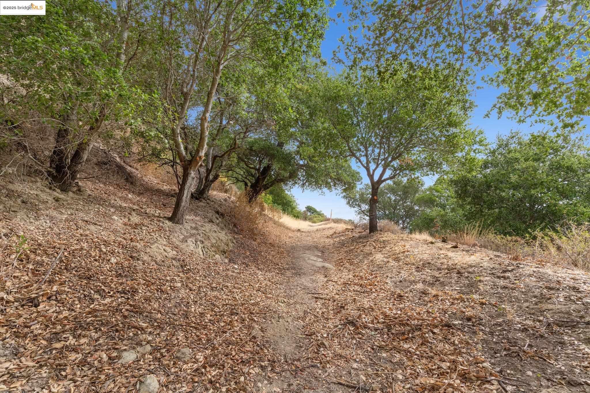 Bradbury Dr