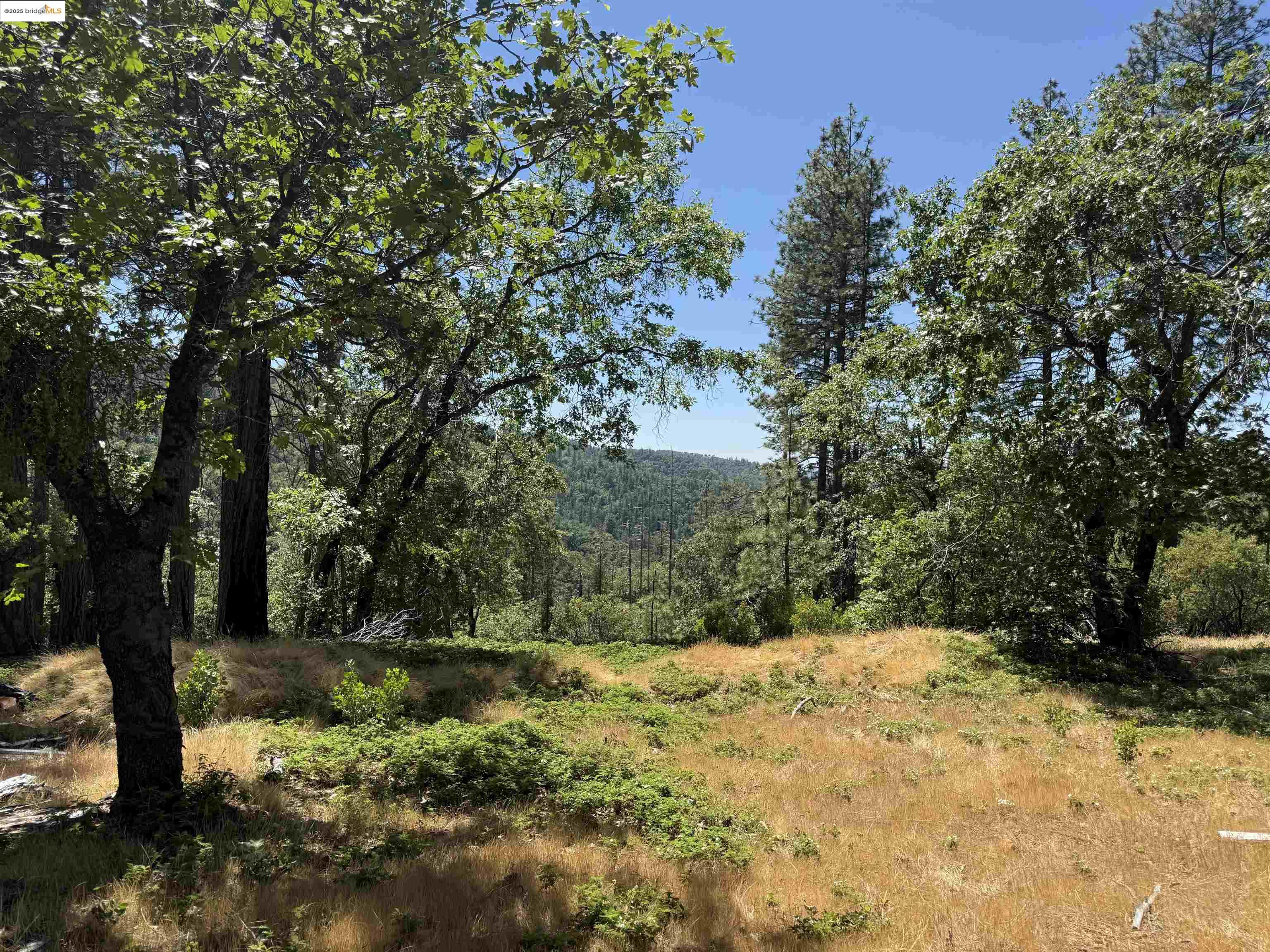 Detail Gallery Image 1 of 11 For 0000 Forest Service Road 3n50, Sonora,  CA 95370 - – Beds | – Baths