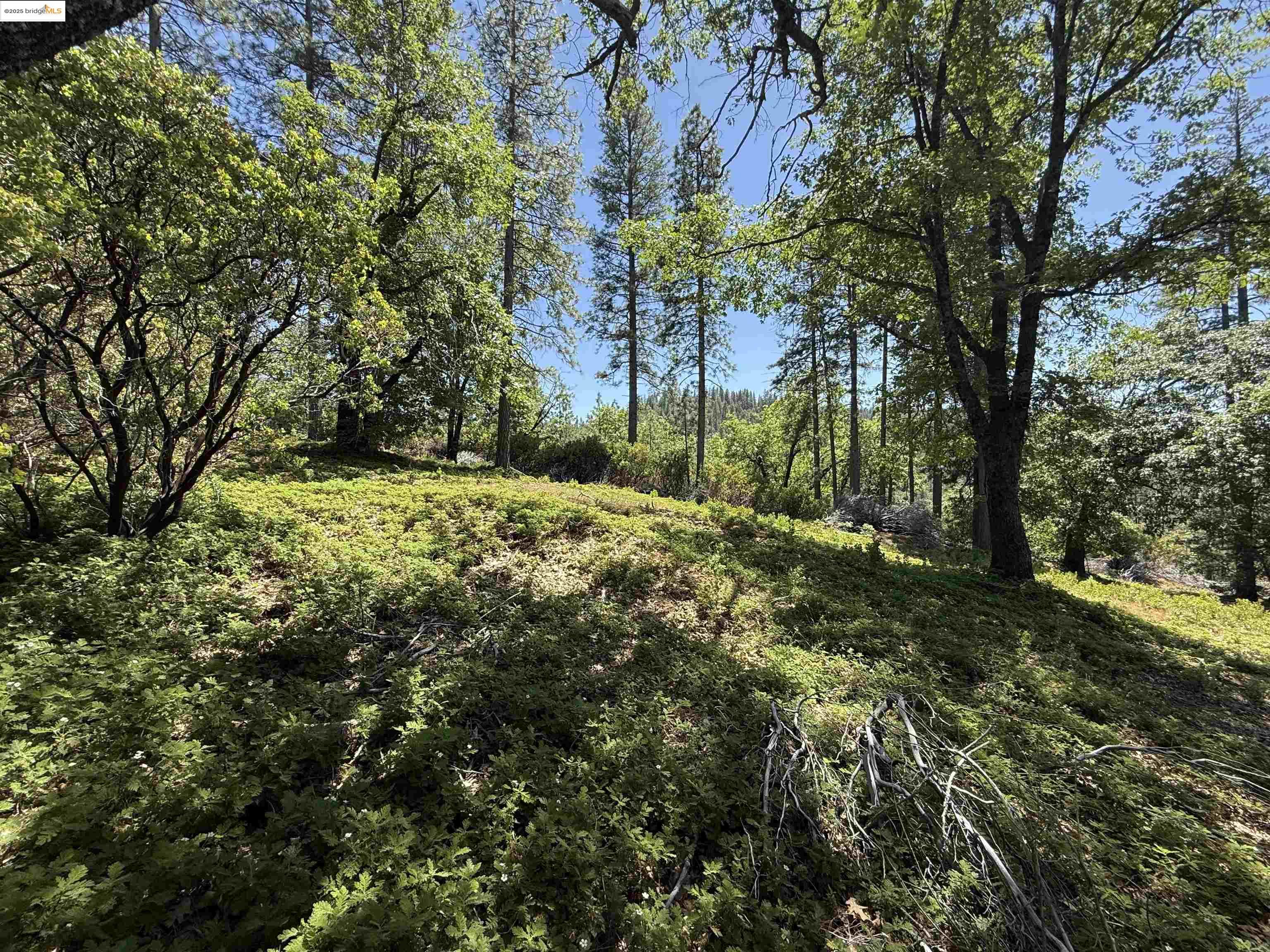 Detail Gallery Image 2 of 11 For 0000 Forest Service Road 3n50, Sonora,  CA 95370 - – Beds | – Baths