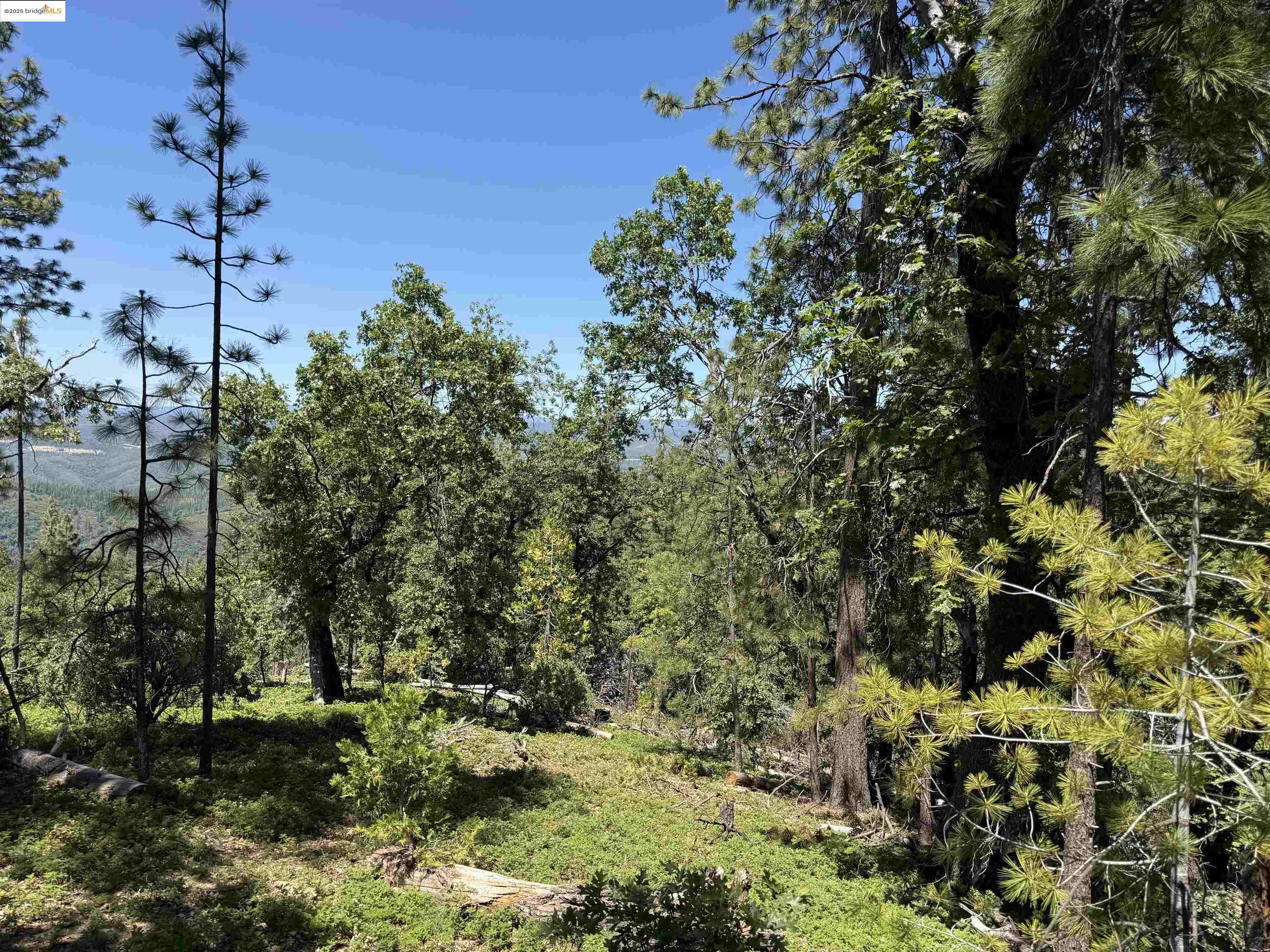 Detail Gallery Image 11 of 11 For 0000 Forest Service Road 3n50, Sonora,  CA 95370 - – Beds | – Baths