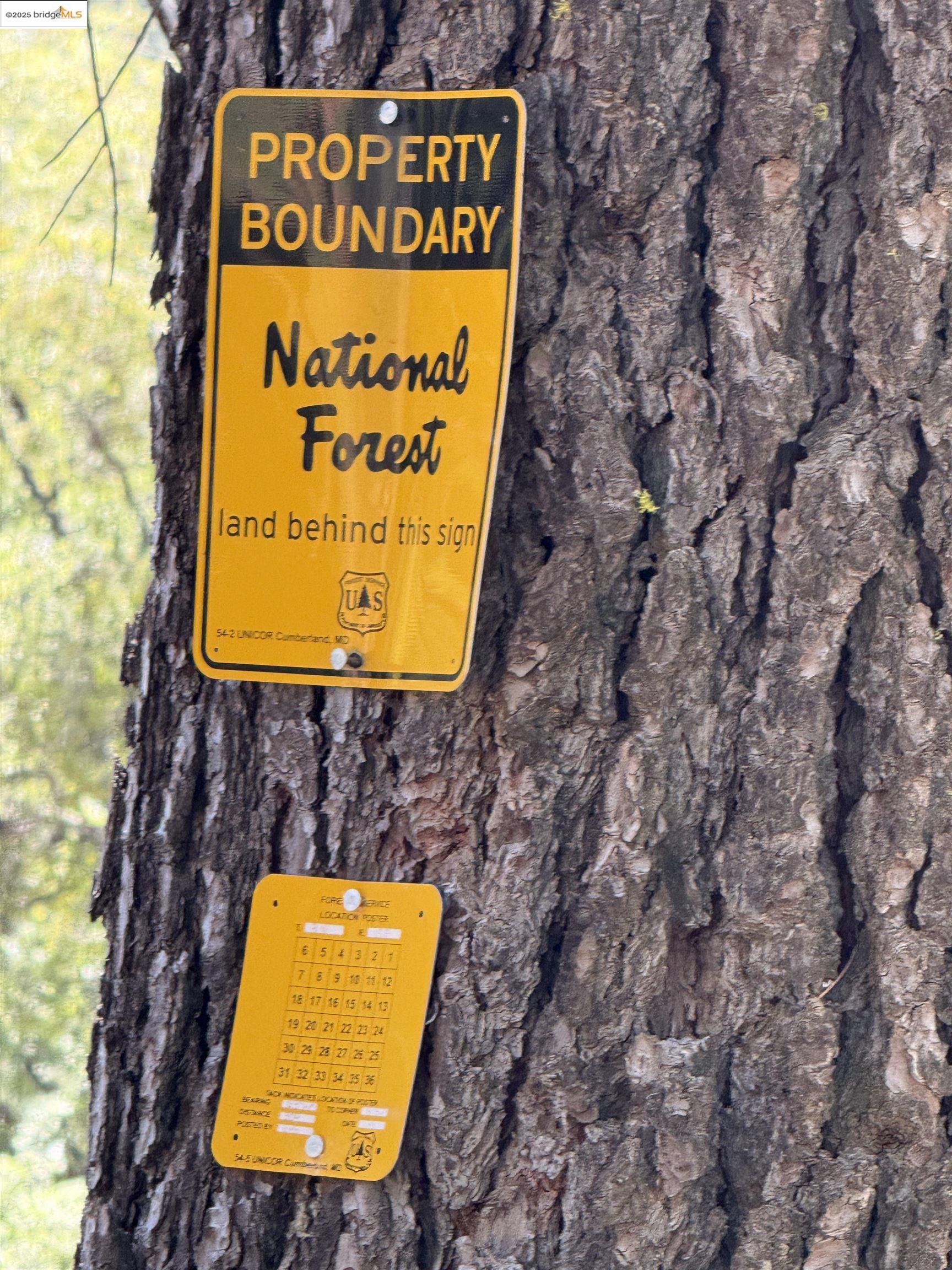 Detail Gallery Image 5 of 11 For 0000 Forest Service Road 3n50, Sonora,  CA 95370 - – Beds | – Baths