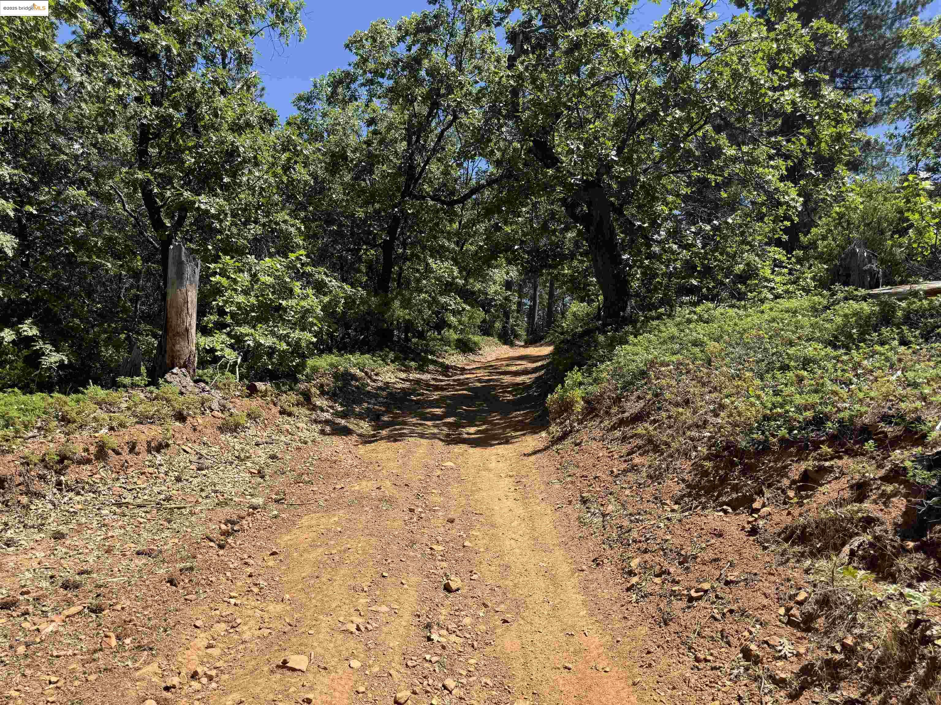 Detail Gallery Image 6 of 11 For 0000 Forest Service Road 3n50, Sonora,  CA 95370 - – Beds | – Baths