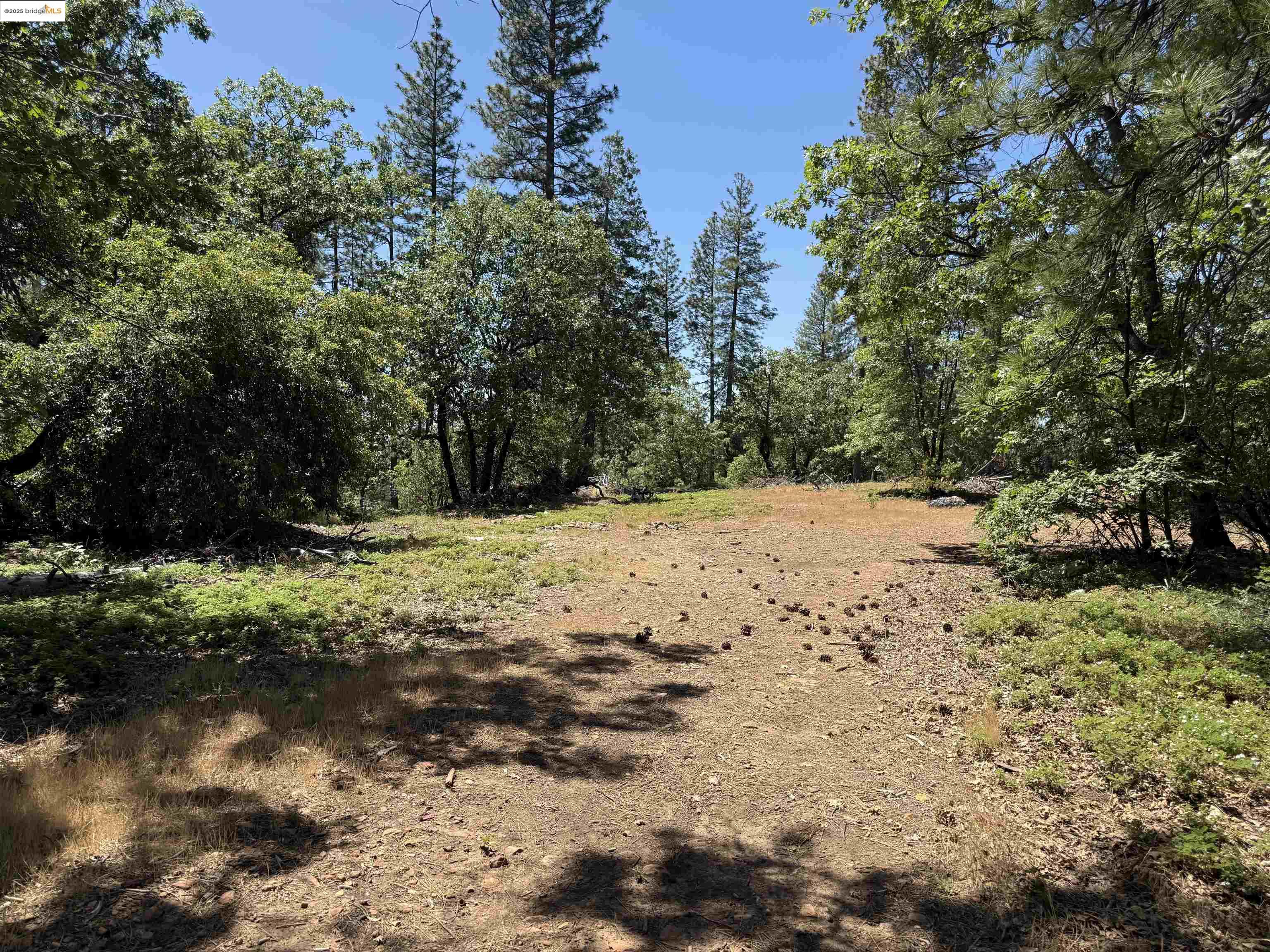 Detail Gallery Image 8 of 11 For 0000 Forest Service Road 3n50, Sonora,  CA 95370 - – Beds | – Baths