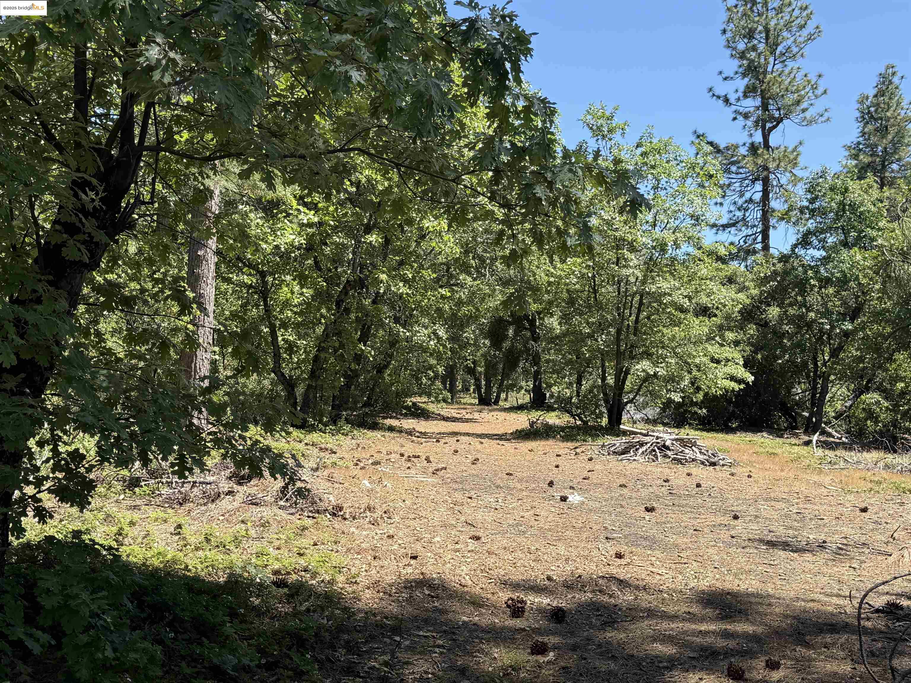 Detail Gallery Image 9 of 11 For 0000 Forest Service Road 3n50, Sonora,  CA 95370 - – Beds | – Baths