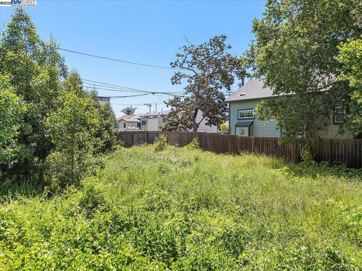 Detail Gallery Image 4 of 18 For 310 Spruce St, Alameda,  CA 94501 - – Beds | – Baths
