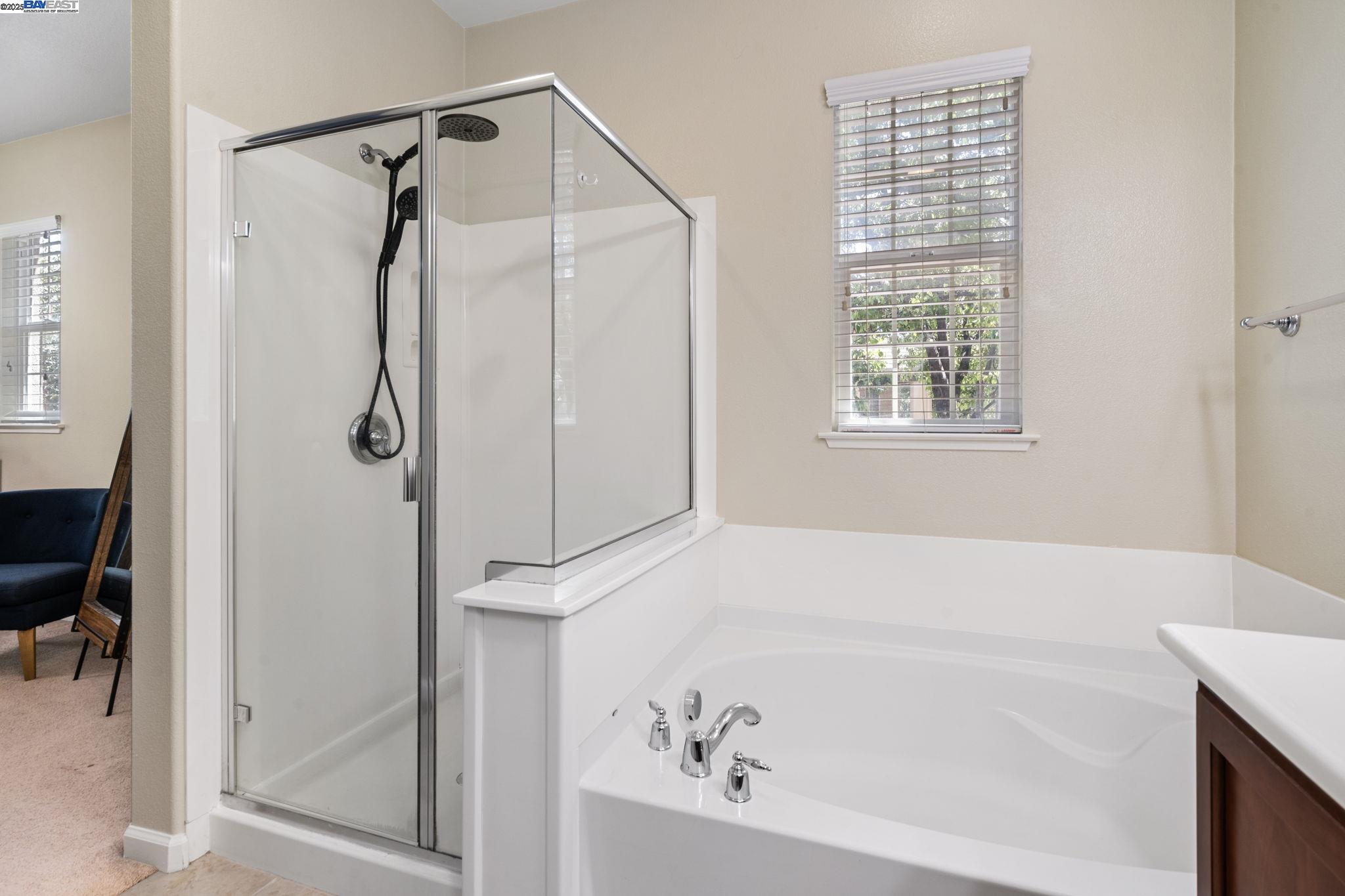 Detail Gallery Image 38 of 52 For 161 W Luna Loca Ln, Mountain House,  CA 95391 - 3 Beds | 3 Baths