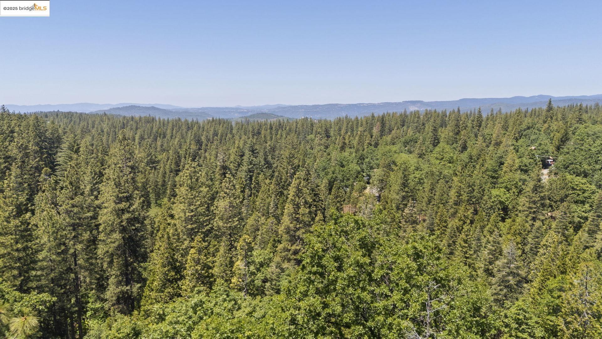 Detail Gallery Image 43 of 57 For 24242 Martingale Ln, Sonora,  CA 95370 - 2 Beds | 2 Baths