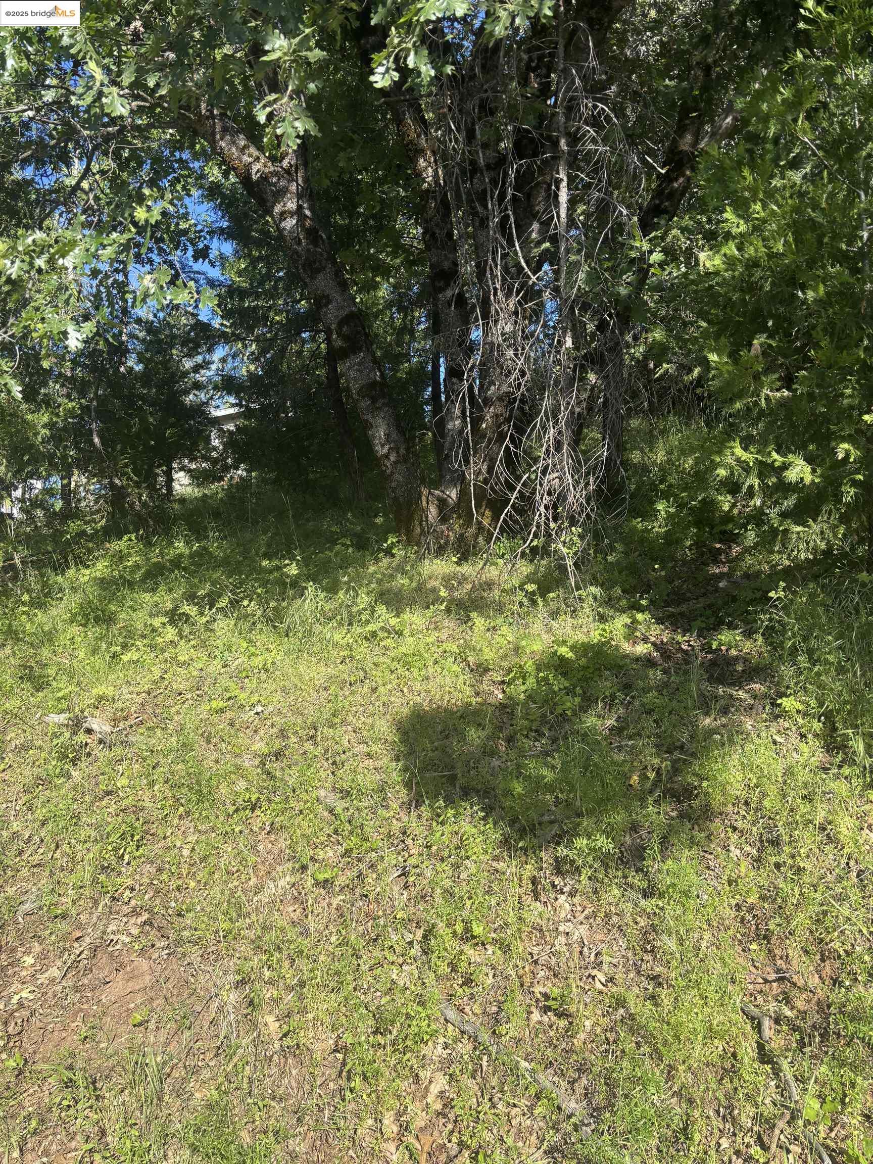 Detail Gallery Image 2 of 9 For 00000 Eastview Dr, Tuolumne,  CA 95379 - – Beds | – Baths