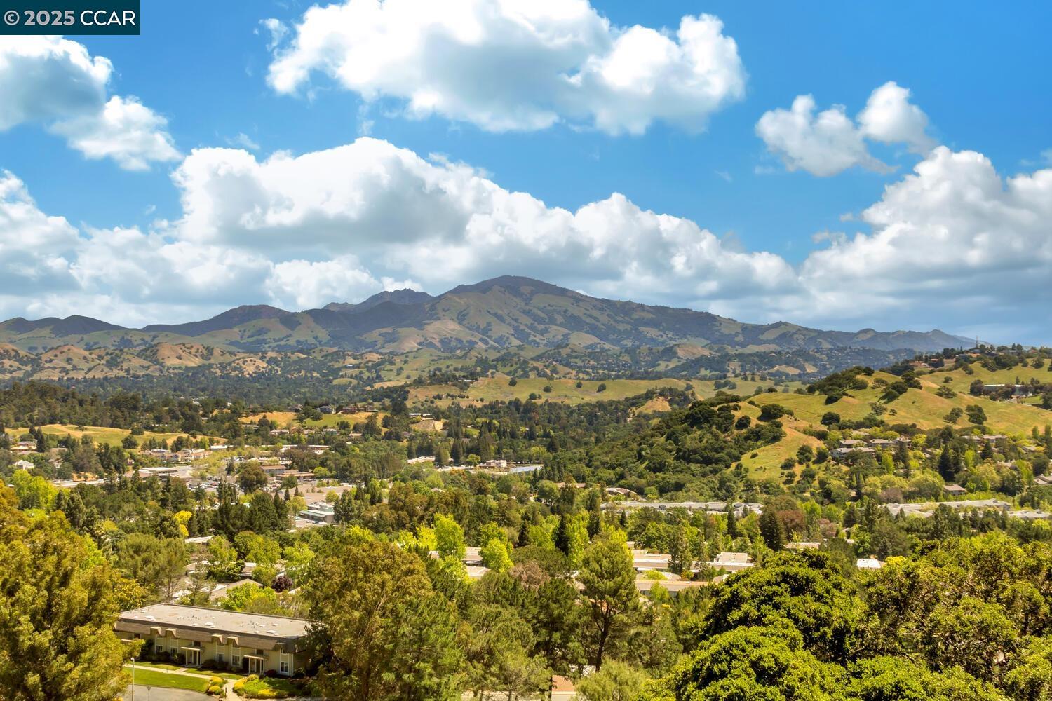 Detail Gallery Image 48 of 54 For 1244 Singingwood Ct. #1,  Walnut Creek,  CA 94595 - 2 Beds | 2 Baths