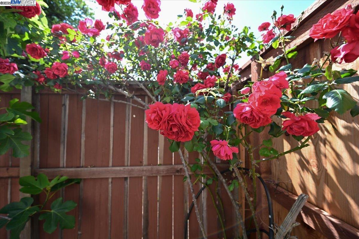 Detail Gallery Image 28 of 47 For 16230 Calypso Ct, San Leandro,  CA 94578 - 3 Beds | 2/1 Baths