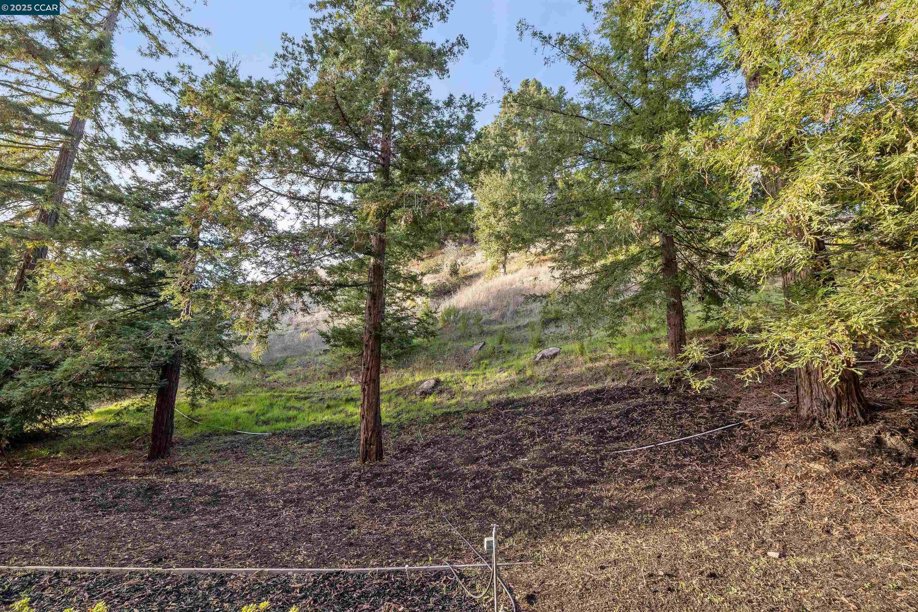 Detail Gallery Image 31 of 31 For 4104 El Nido Ranch Rd, Lafayette,  CA 94549 - 5 Beds | 3 Baths