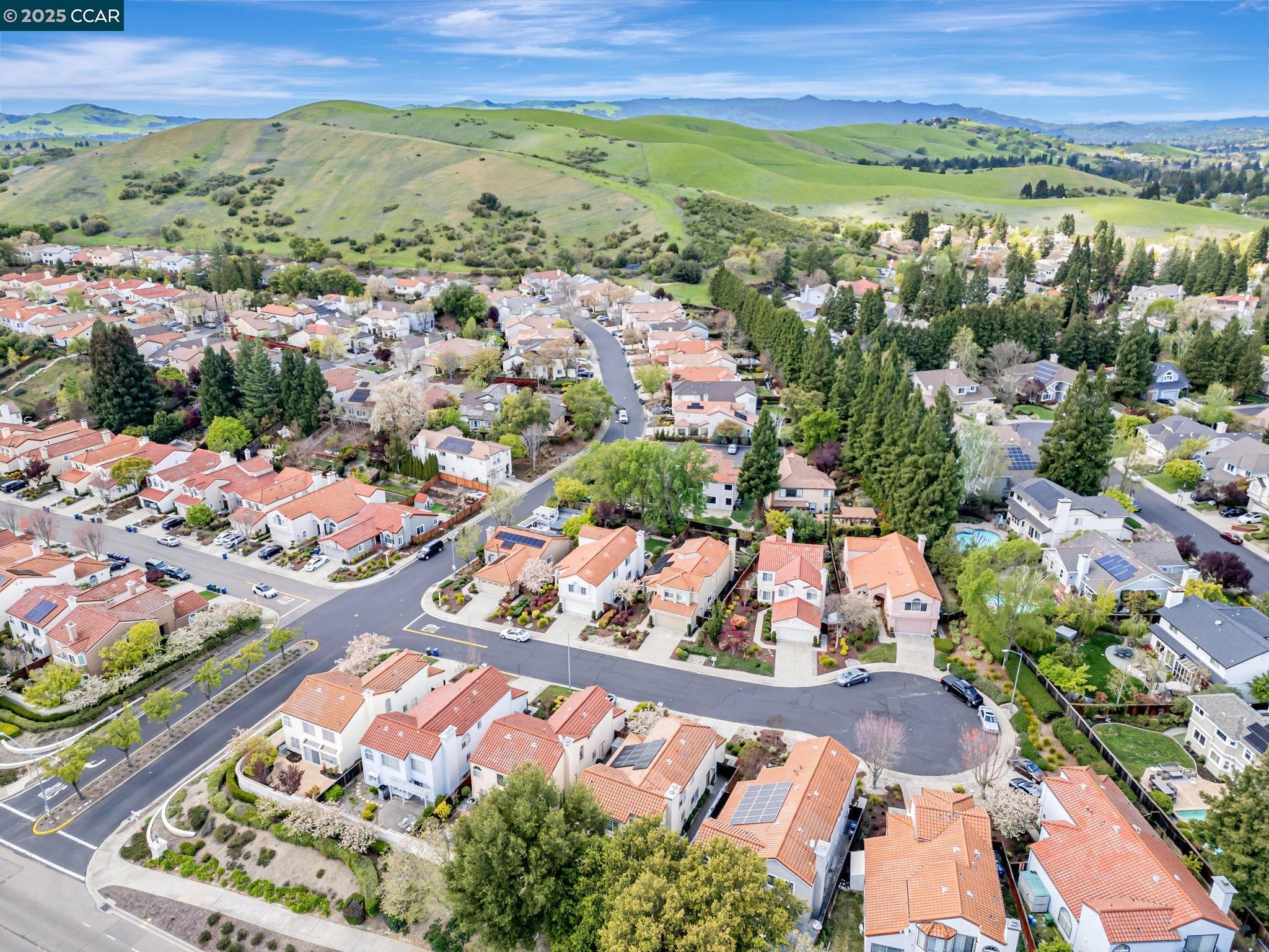 Detail Gallery Image 43 of 47 For 231 Firethorn Ct, San Ramon,  CA 94582 - 4 Beds | 3 Baths