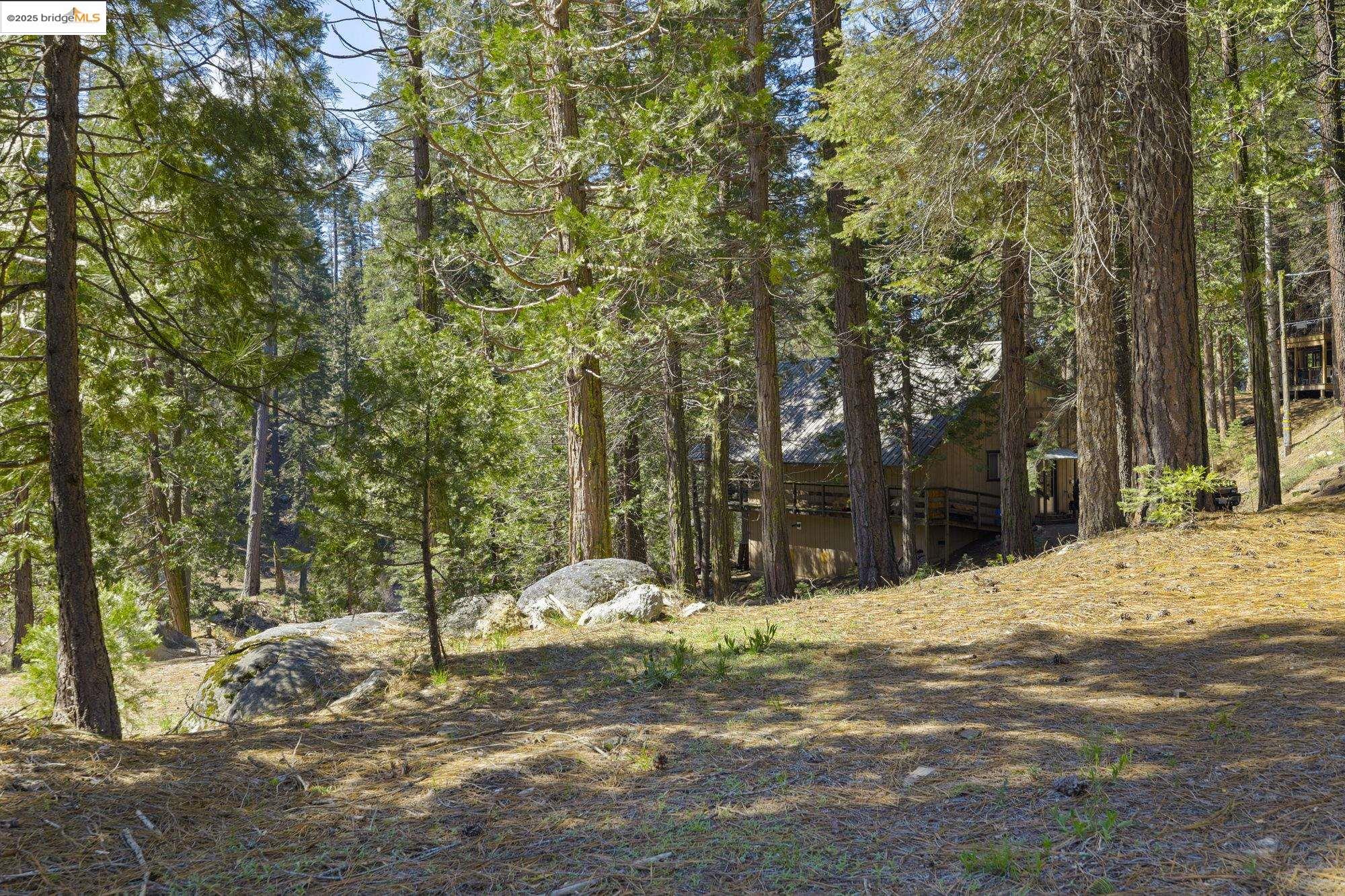 Detail Gallery Image 3 of 14 For 31545 Kell Lane, Strawberry,  CA 95375 - 2 Beds | 1 Baths