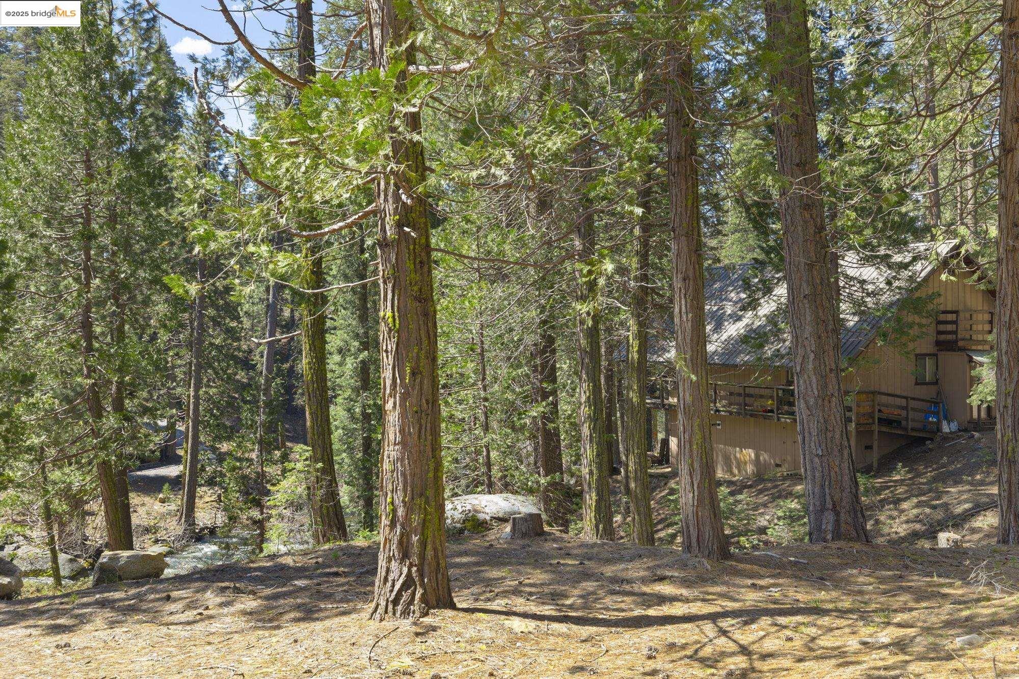 Detail Gallery Image 6 of 10 For 31545 Kell Lane, Strawberry,  CA 95375 - 2 Beds | 1 Baths