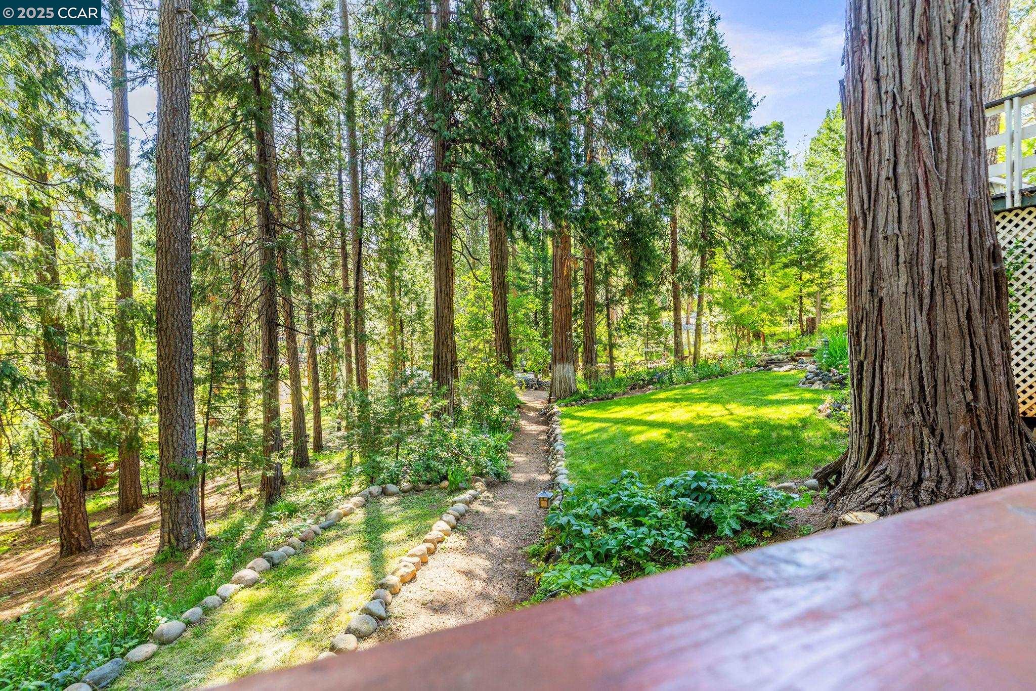 Detail Gallery Image 33 of 53 For 6170 Dog Town Rd, Somerset,  CA 95684 - 3 Beds | 2 Baths