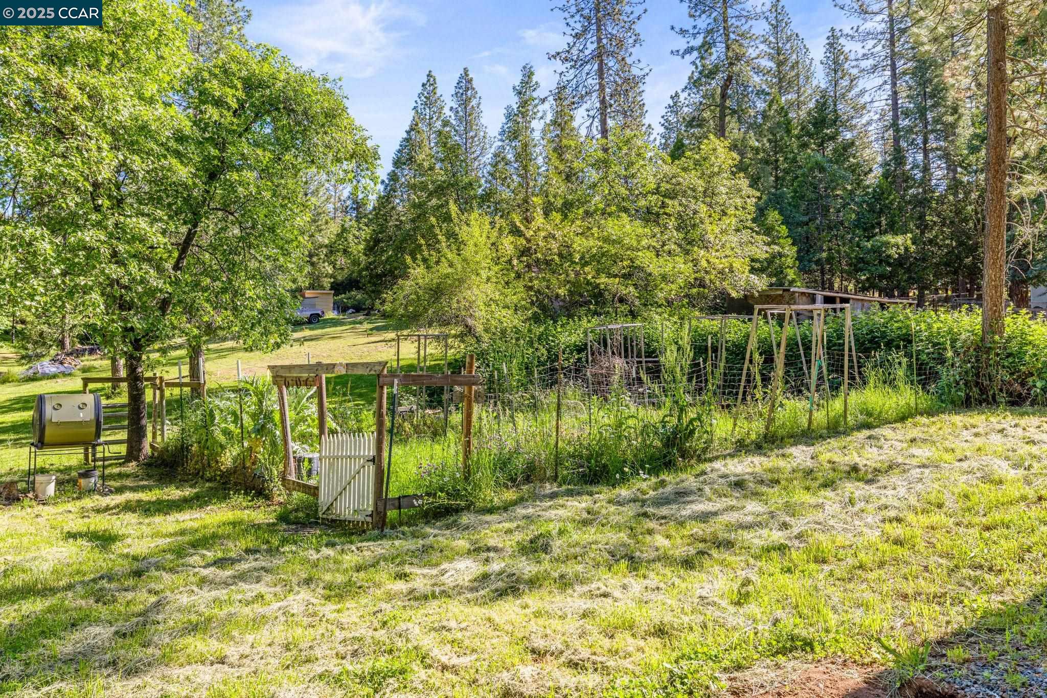 Detail Gallery Image 39 of 53 For 6170 Dog Town Rd, Somerset,  CA 95684 - 3 Beds | 2 Baths