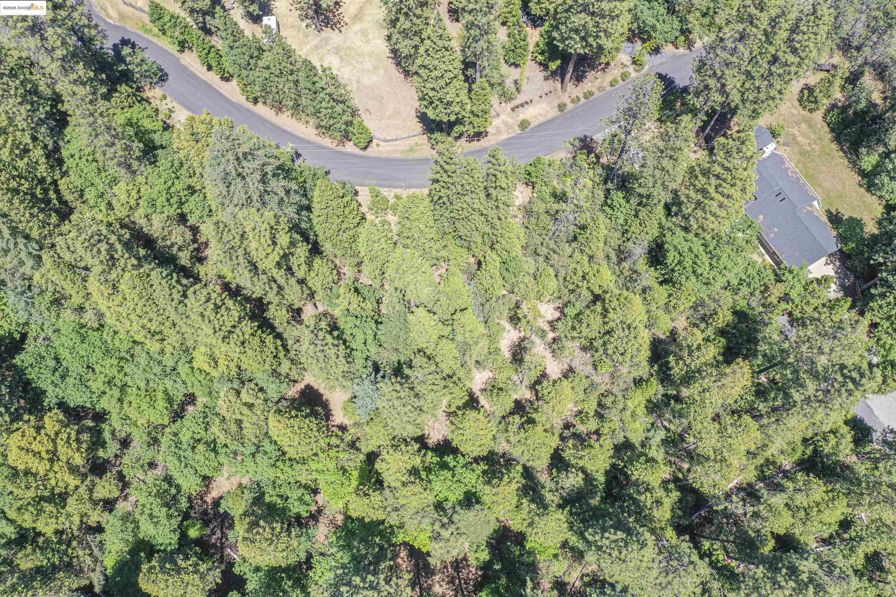Detail Gallery Image 14 of 40 For 0 Forest Lake Rd, Sonora,  CA 95370 - – Beds | – Baths