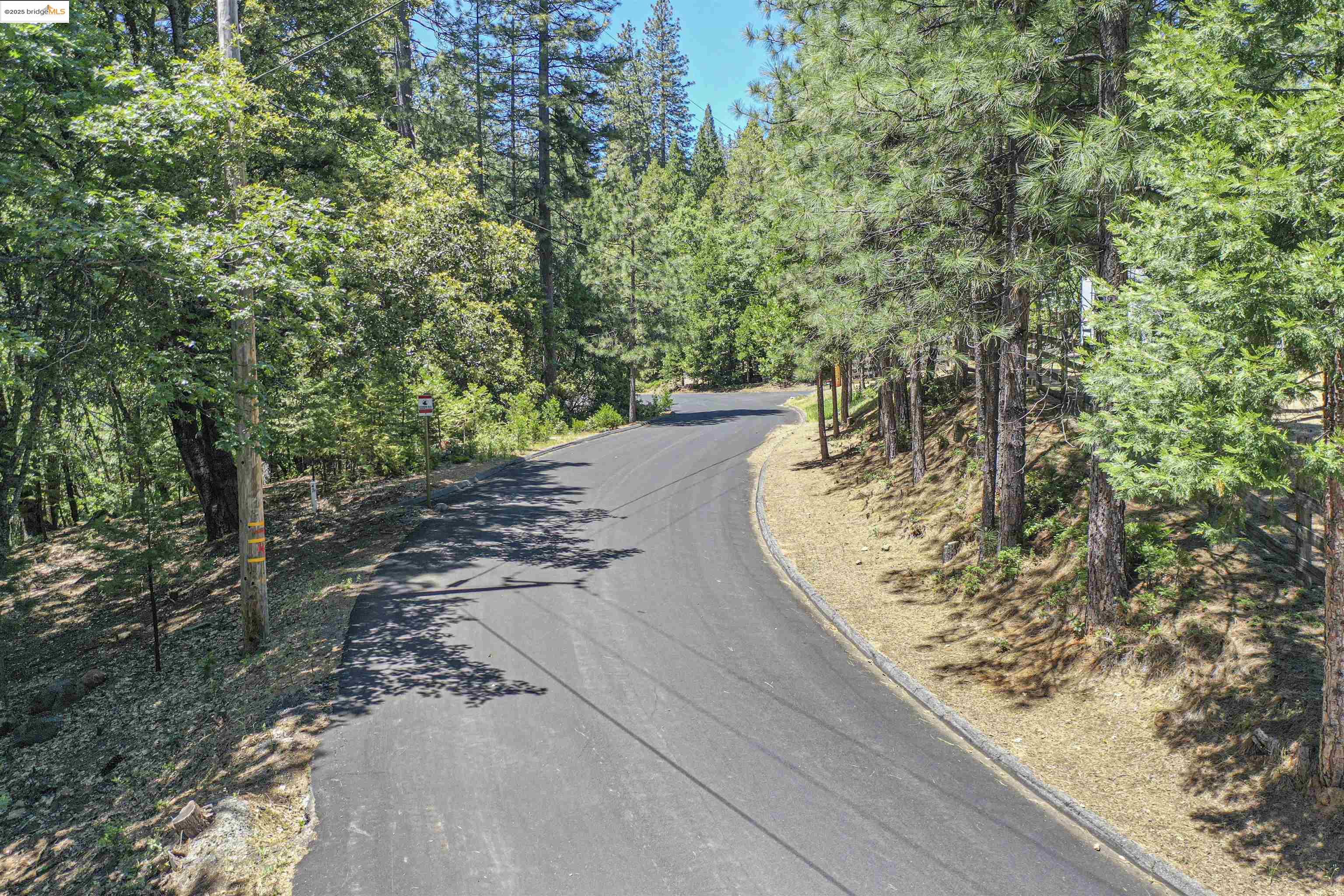 Detail Gallery Image 15 of 40 For 0 Forest Lake Rd, Sonora,  CA 95370 - – Beds | – Baths