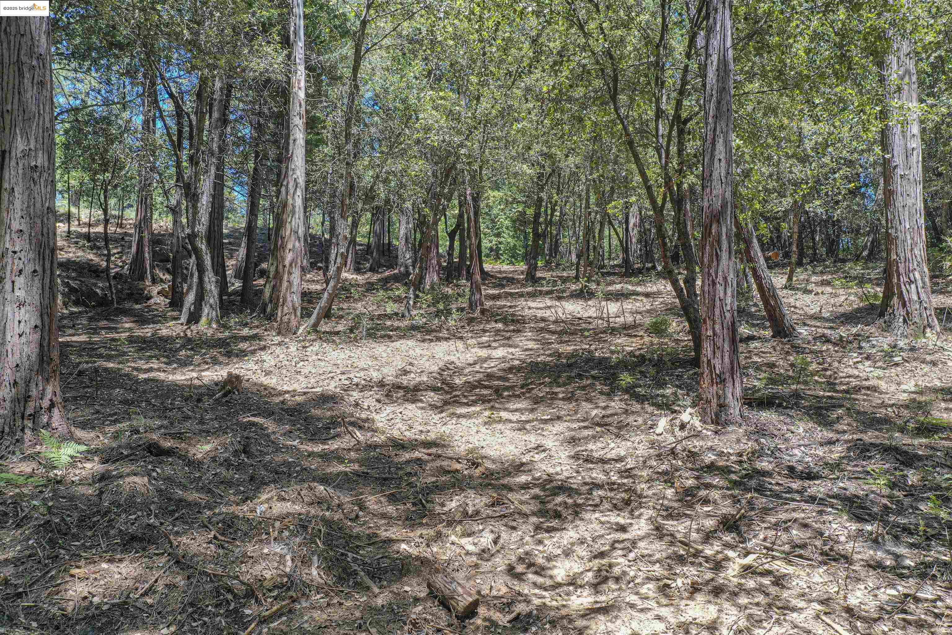 Detail Gallery Image 18 of 40 For 0 Forest Lake Rd, Sonora,  CA 95370 - – Beds | – Baths