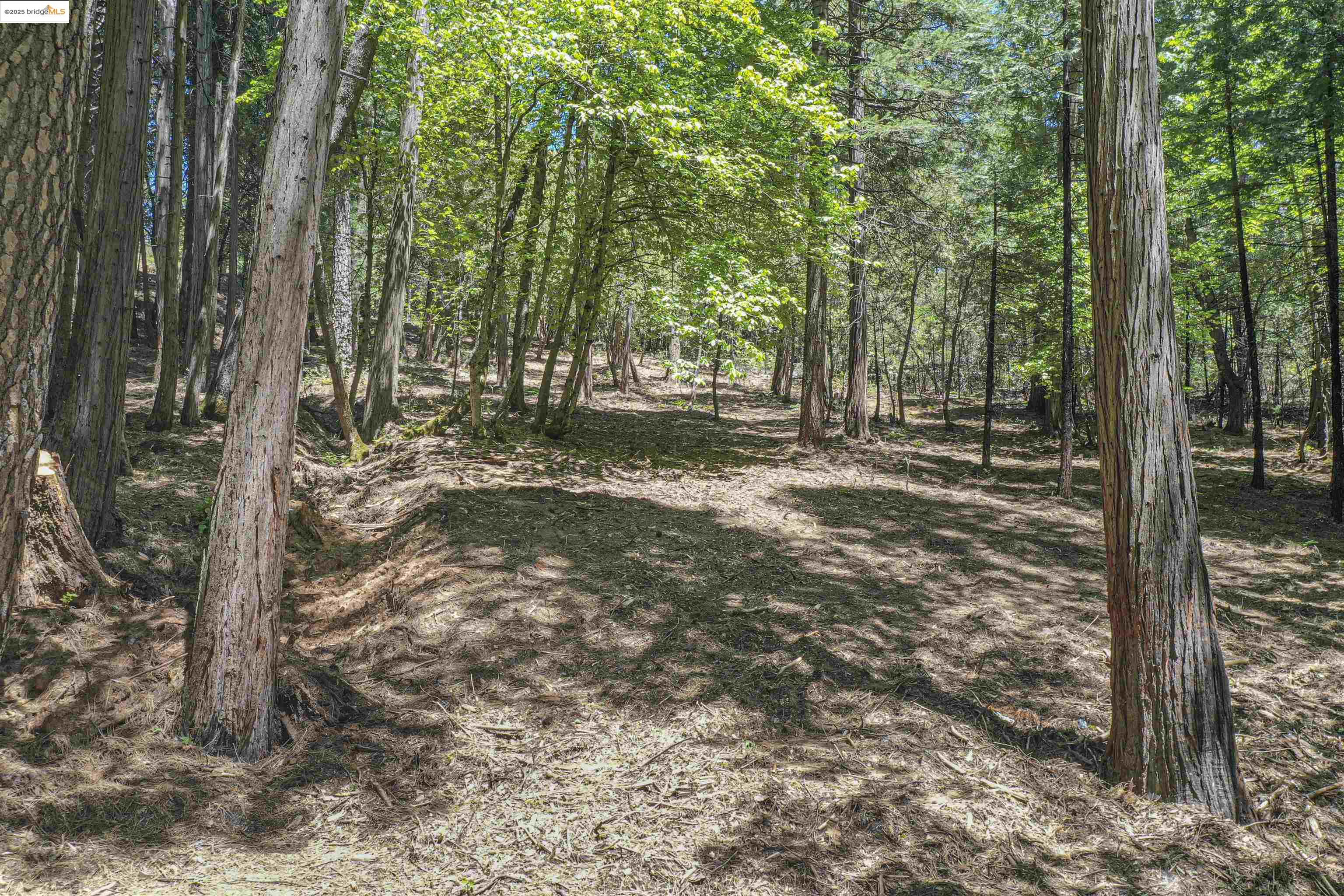 Detail Gallery Image 20 of 40 For 0 Forest Lake Rd, Sonora,  CA 95370 - – Beds | – Baths