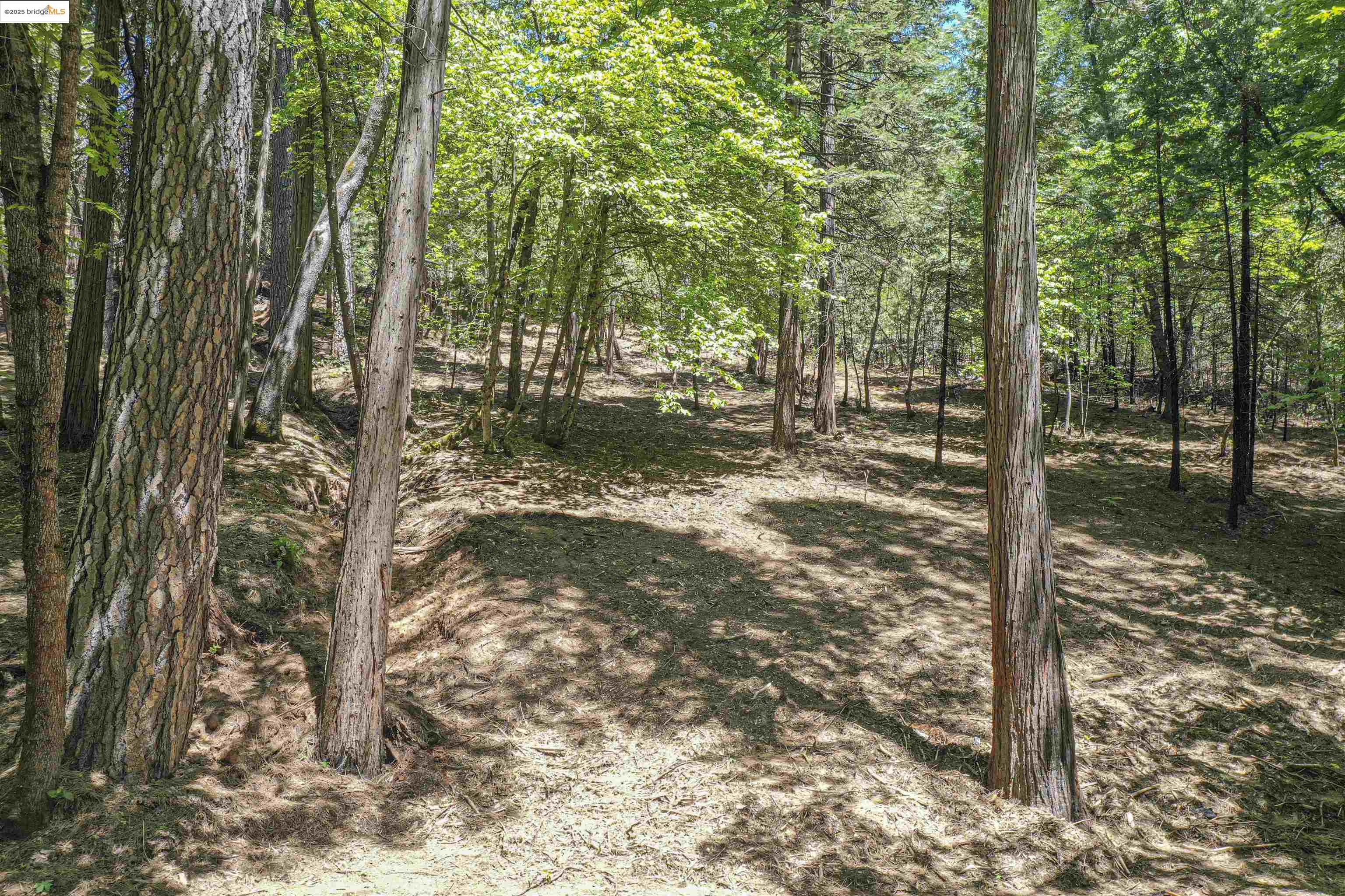 Detail Gallery Image 21 of 40 For 0 Forest Lake Rd, Sonora,  CA 95370 - – Beds | – Baths