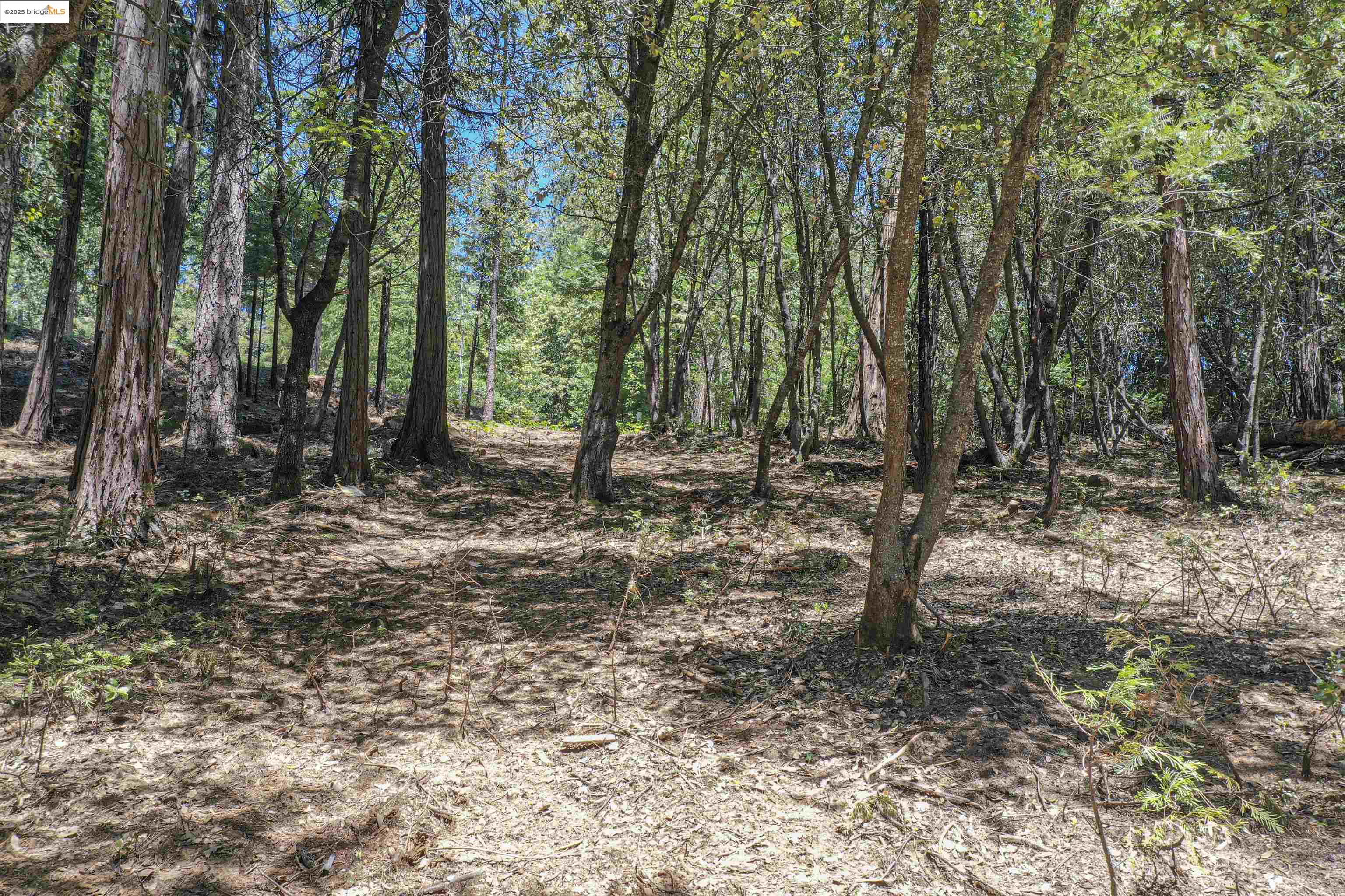 Detail Gallery Image 22 of 40 For 0 Forest Lake Rd, Sonora,  CA 95370 - – Beds | – Baths