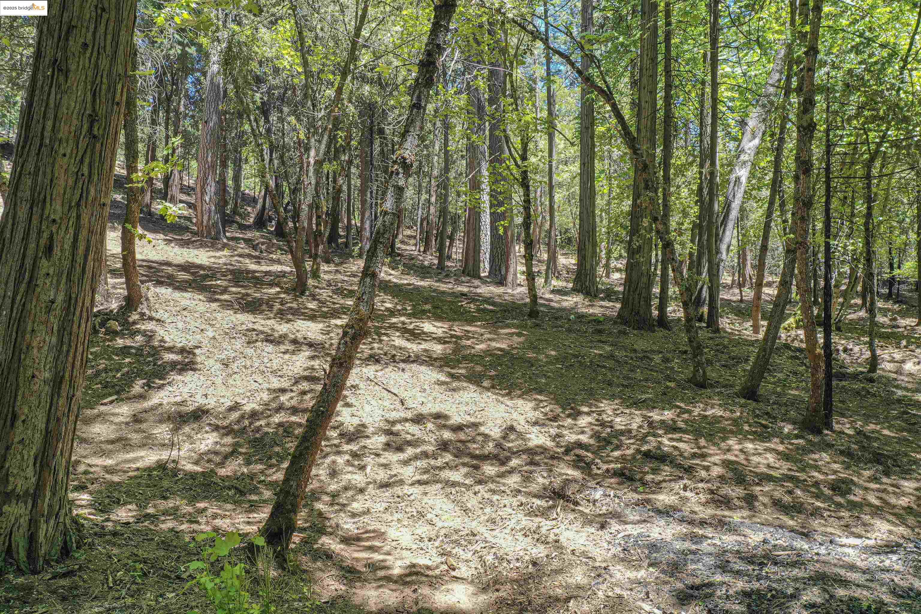 Detail Gallery Image 23 of 40 For 0 Forest Lake Rd, Sonora,  CA 95370 - – Beds | – Baths