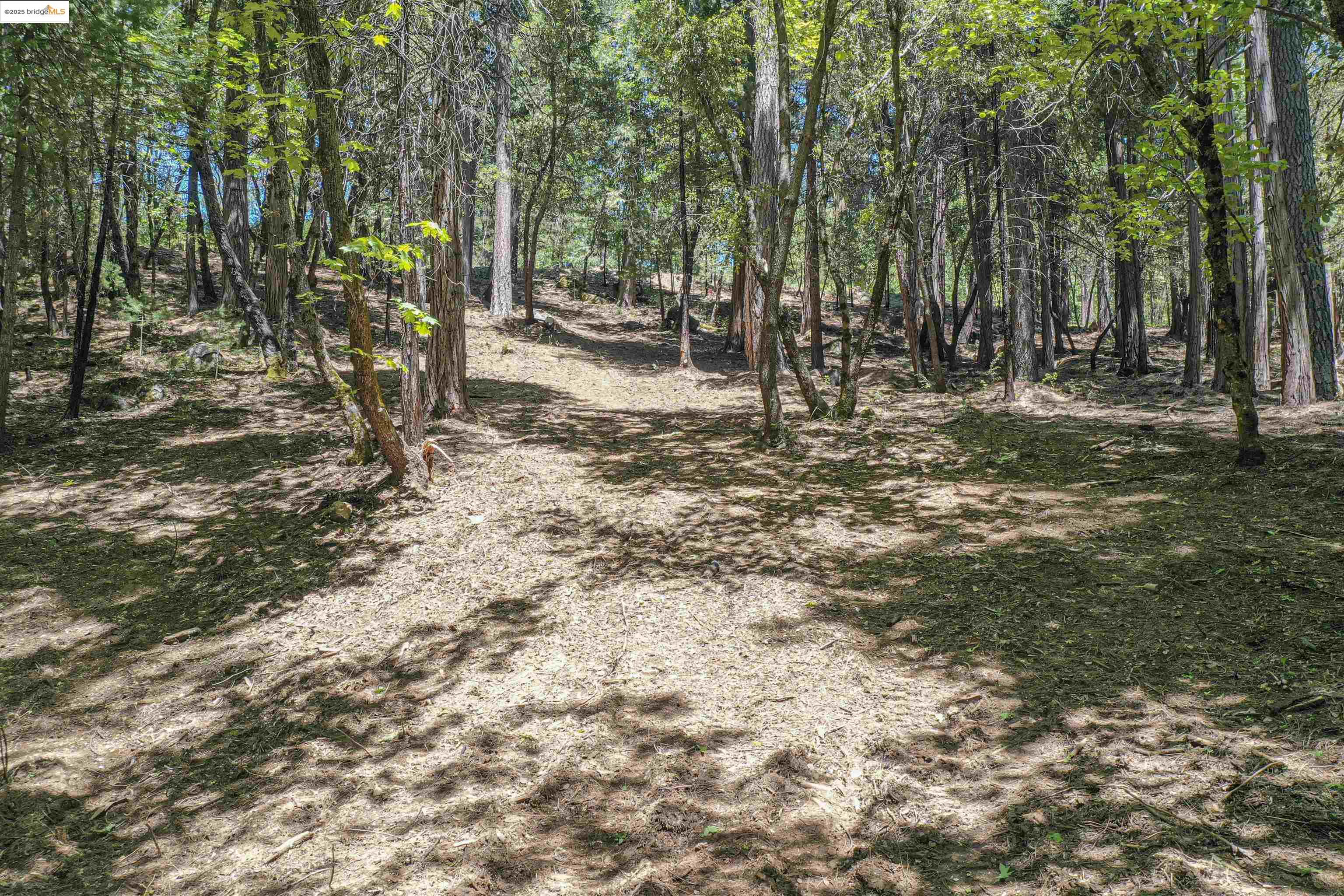 Detail Gallery Image 24 of 40 For 0 Forest Lake Rd, Sonora,  CA 95370 - – Beds | – Baths