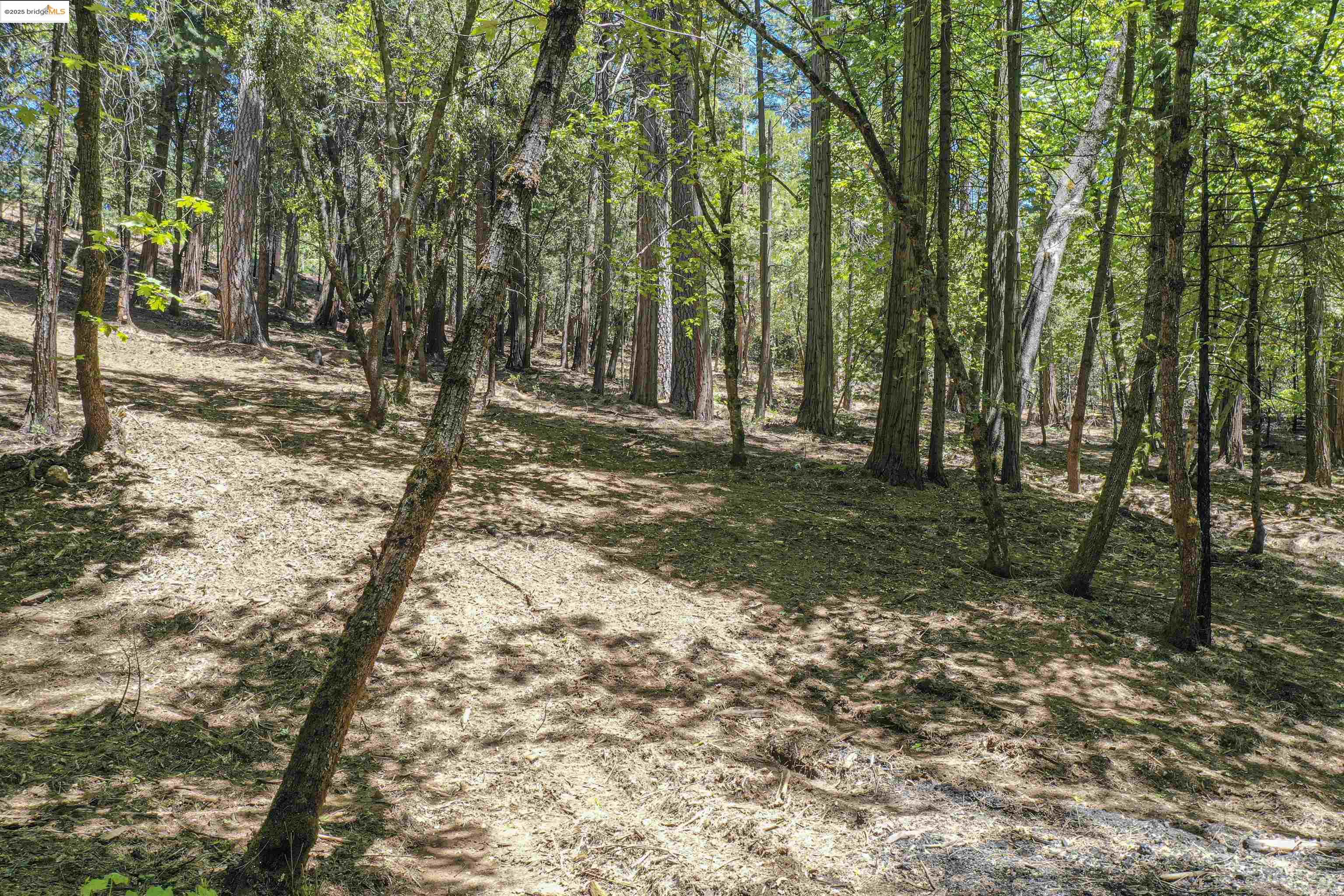 Detail Gallery Image 25 of 40 For 0 Forest Lake Rd, Sonora,  CA 95370 - – Beds | – Baths