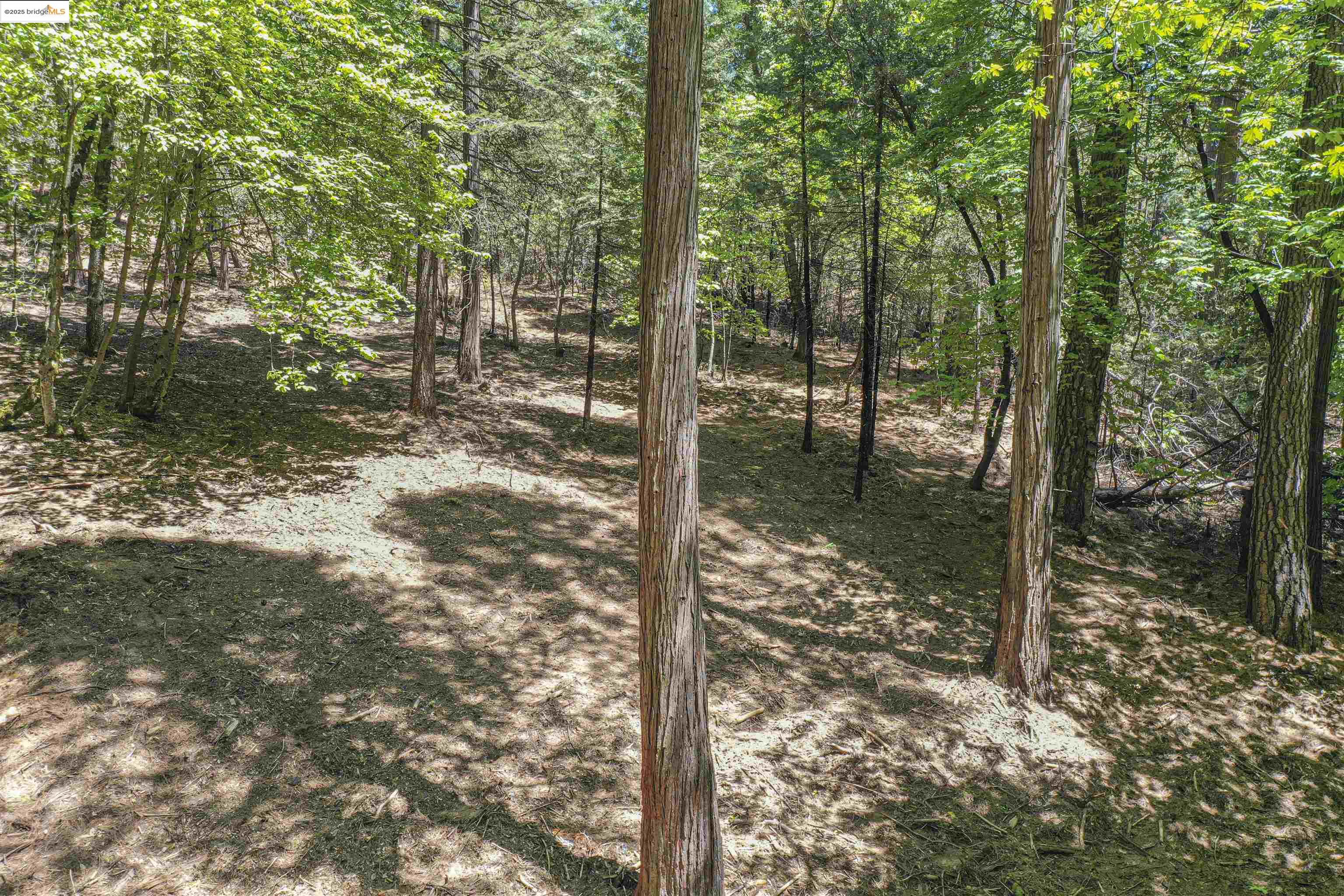 Detail Gallery Image 27 of 40 For 0 Forest Lake Rd, Sonora,  CA 95370 - – Beds | – Baths