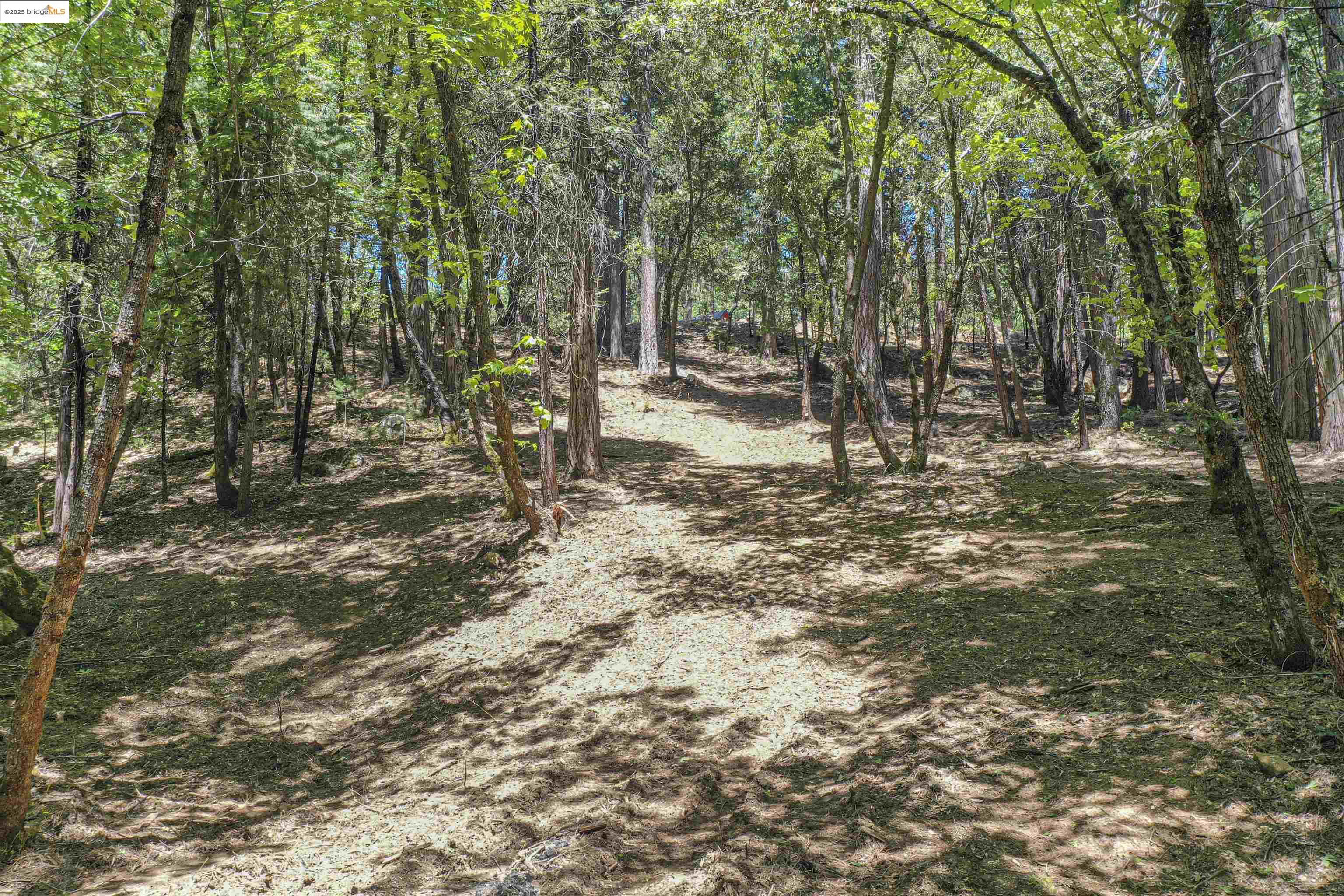 Detail Gallery Image 28 of 40 For 0 Forest Lake Rd, Sonora,  CA 95370 - – Beds | – Baths