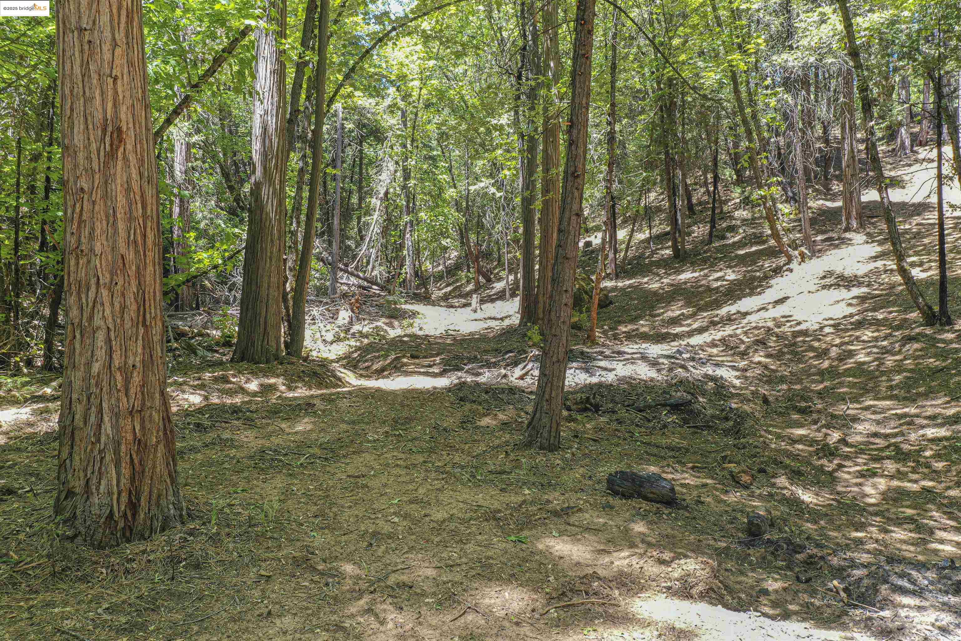 Detail Gallery Image 29 of 40 For 0 Forest Lake Rd, Sonora,  CA 95370 - – Beds | – Baths